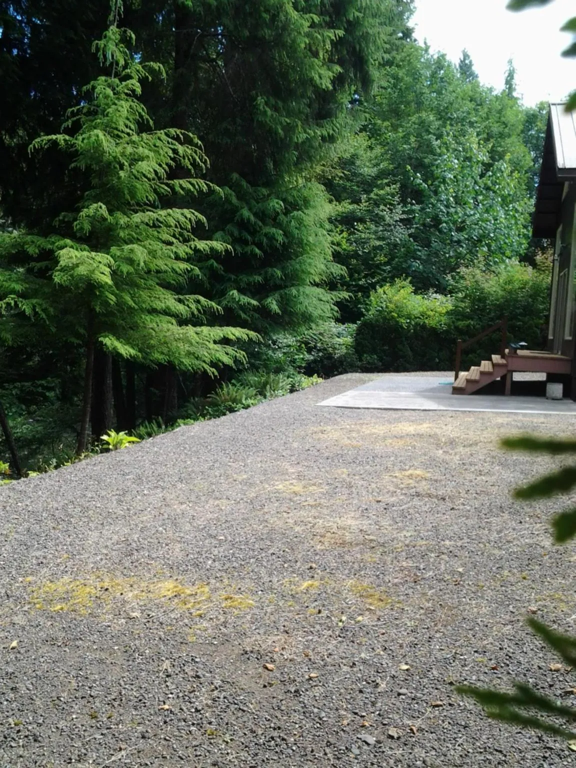 Balcony/Terrace in A Relaxing Getaway SolDuc 1