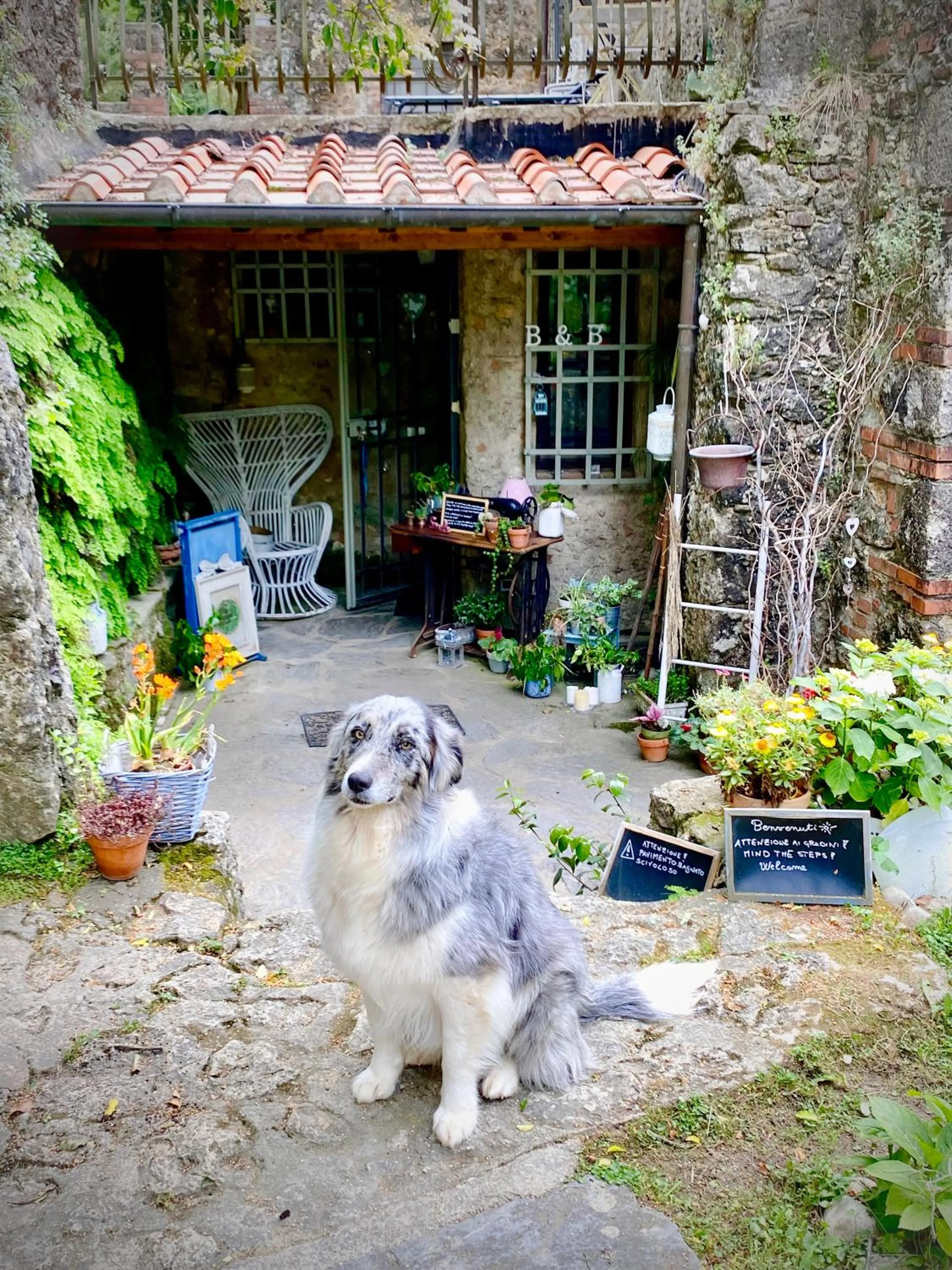 Property building in Guest House Antico Frantoio Pietrasanta Affittacamere