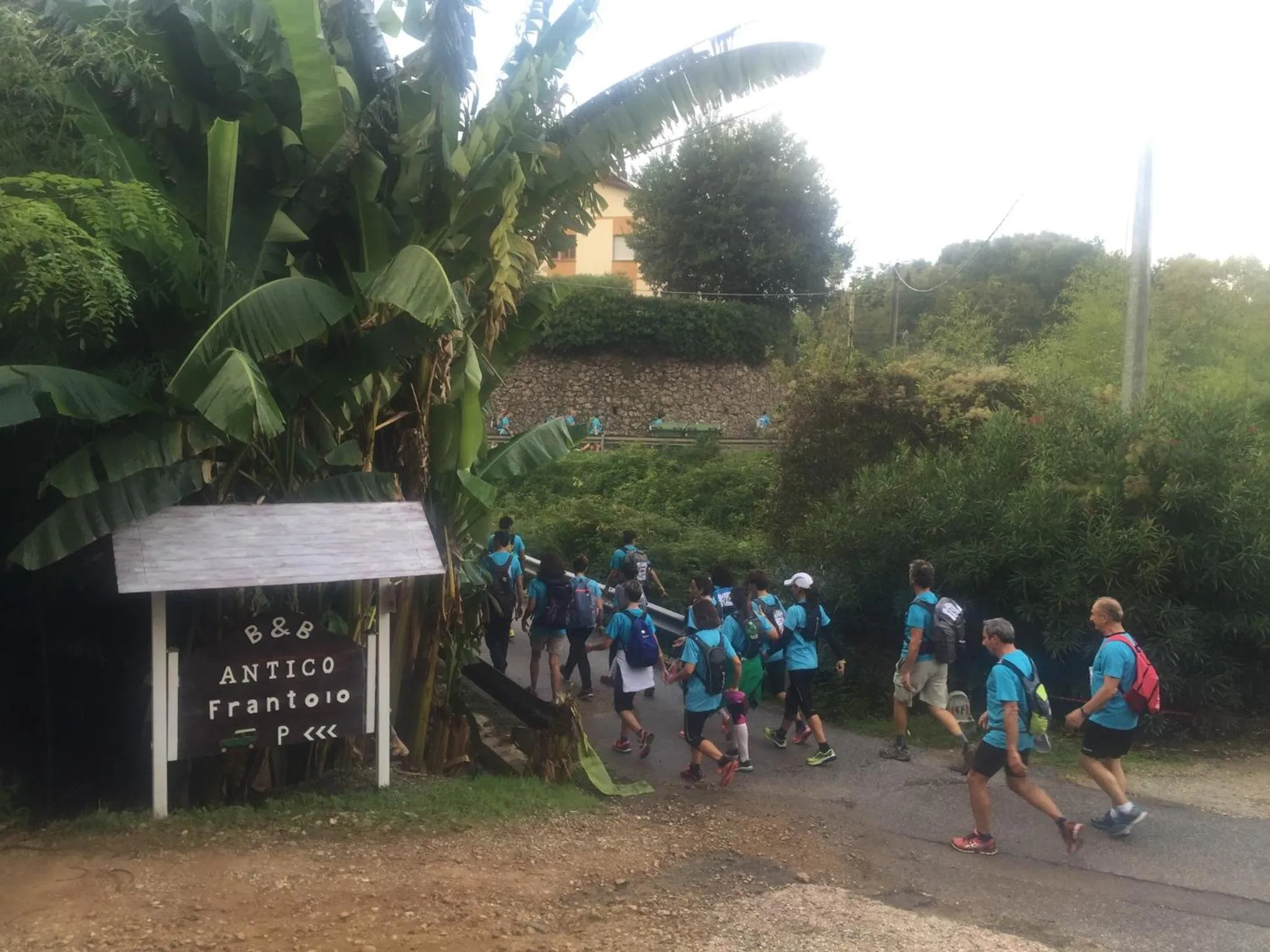 Hiking in Guest House Antico Frantoio Pietrasanta Affittacamere