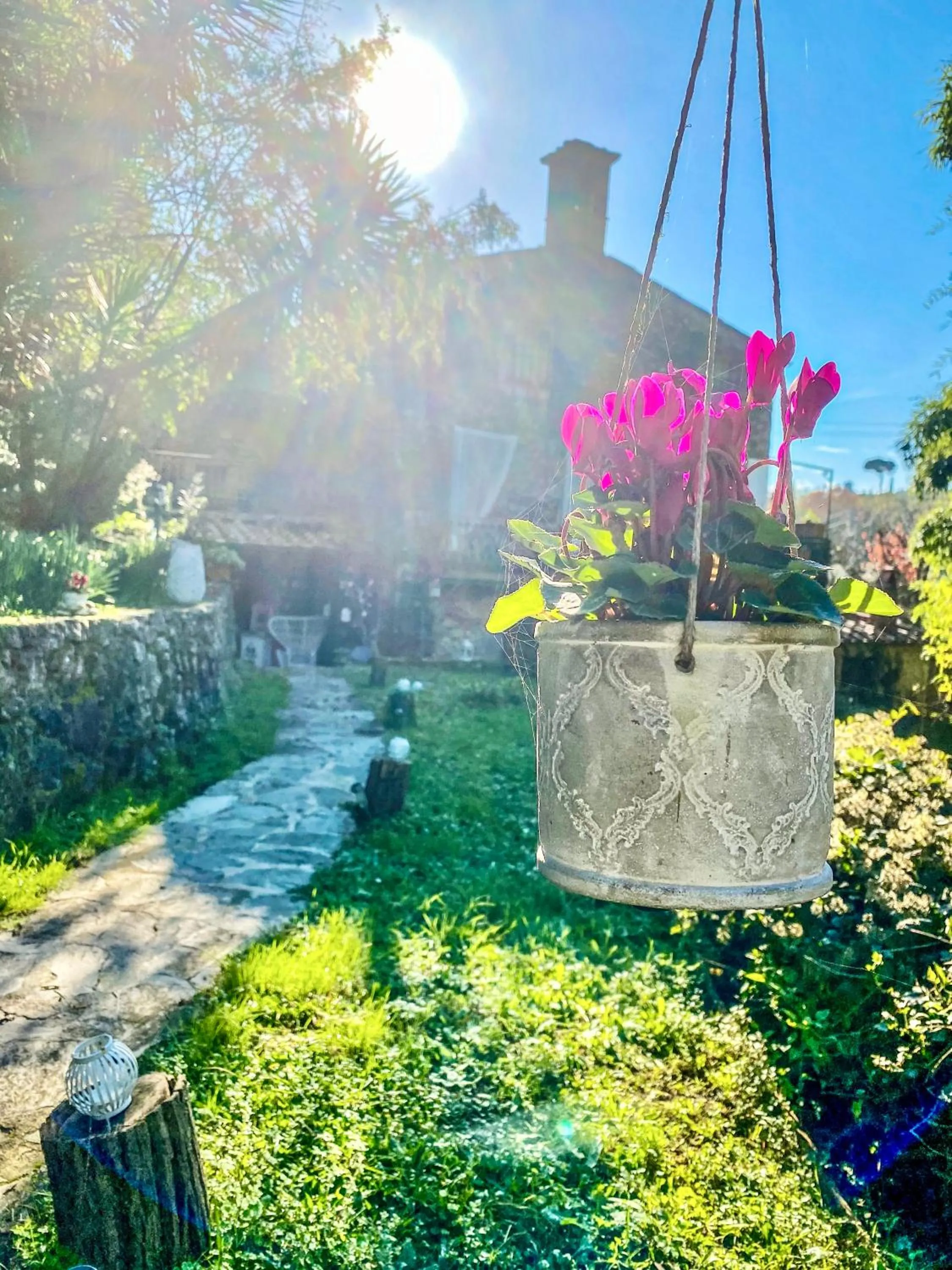 Property building in Guest House Antico Frantoio Pietrasanta Affittacamere