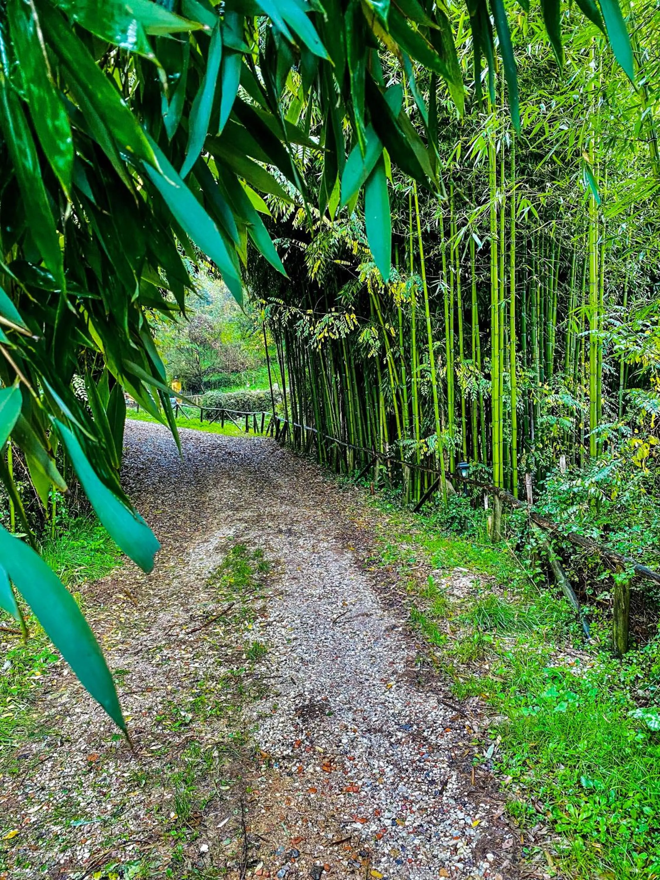 Facade/entrance in Guest House Antico Frantoio Pietrasanta Affittacamere