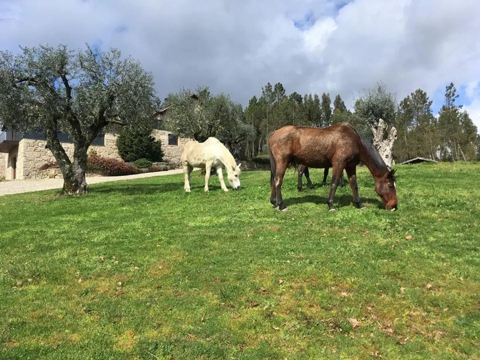 Quinta do Medronheiro Hotel Rural