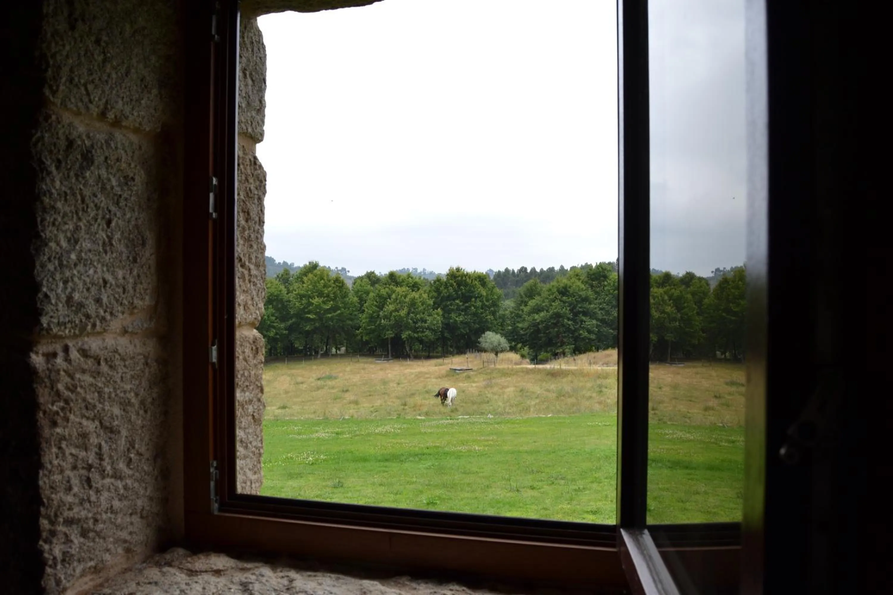 Quinta do Medronheiro Hotel Rural