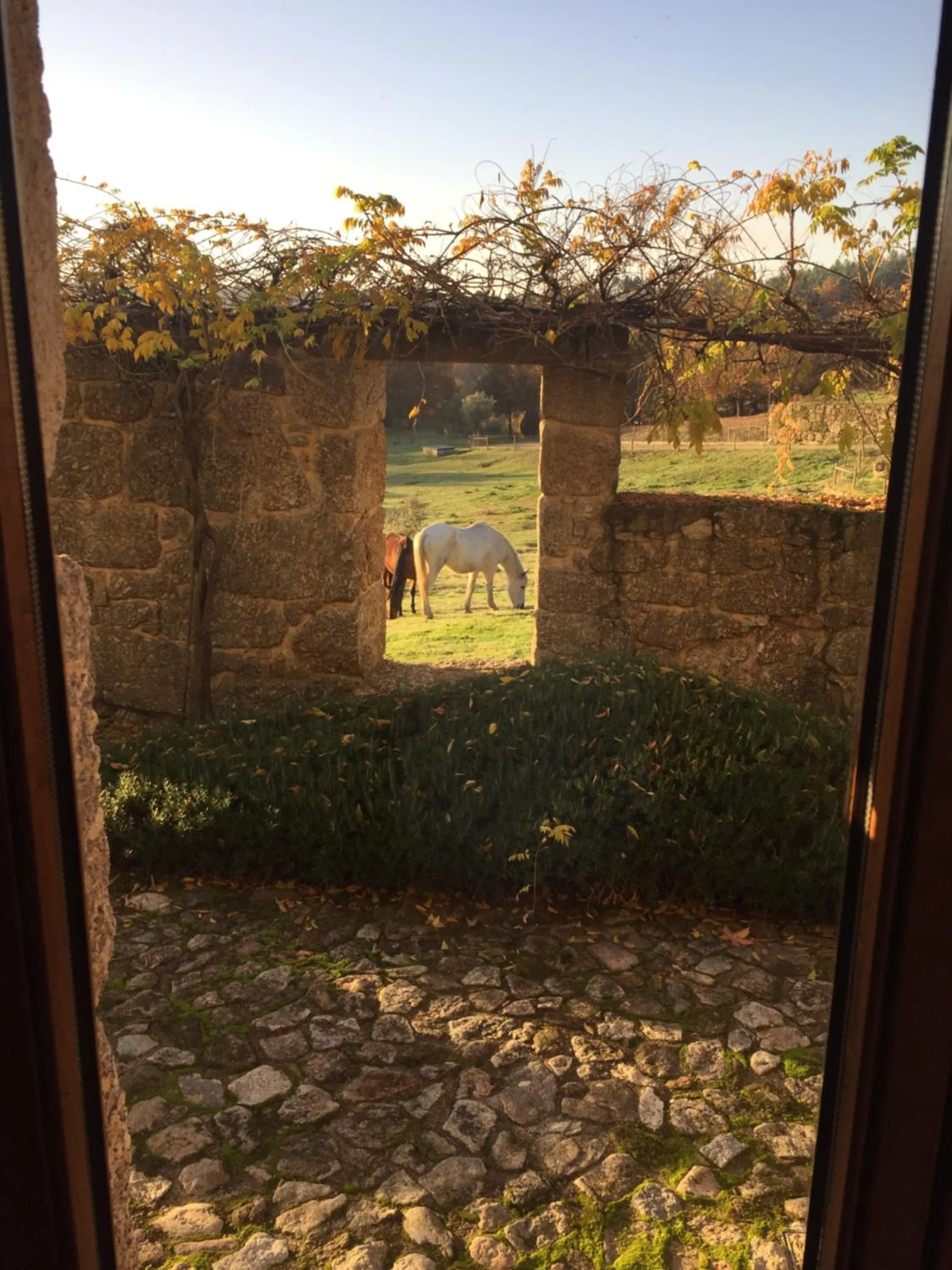 Quinta do Medronheiro Hotel Rural