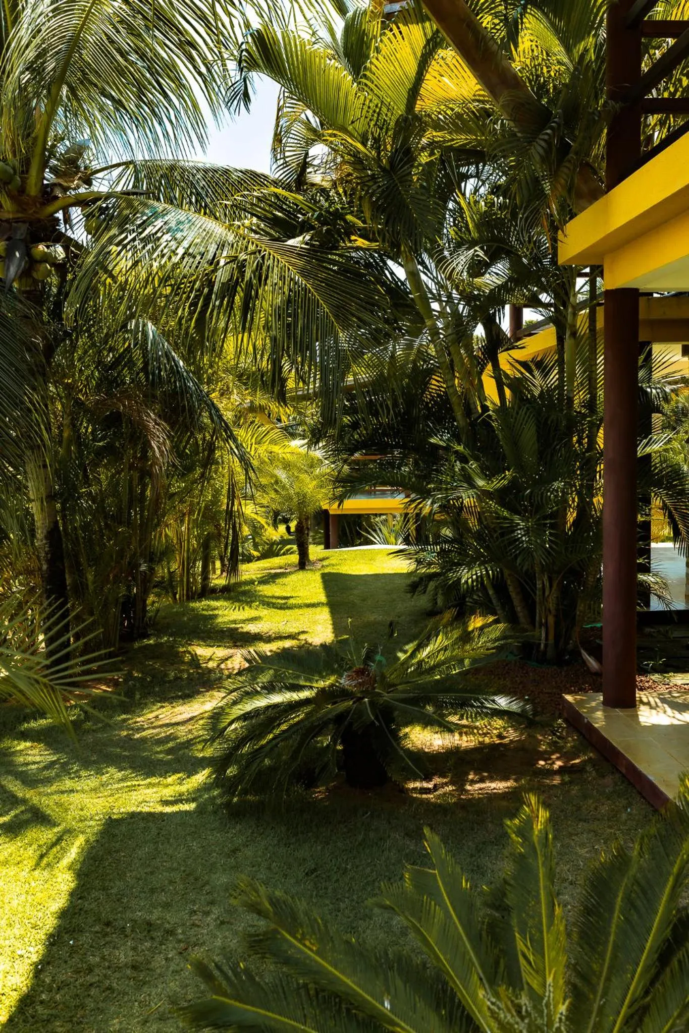 Garden in Pipa Lagoa Hotel