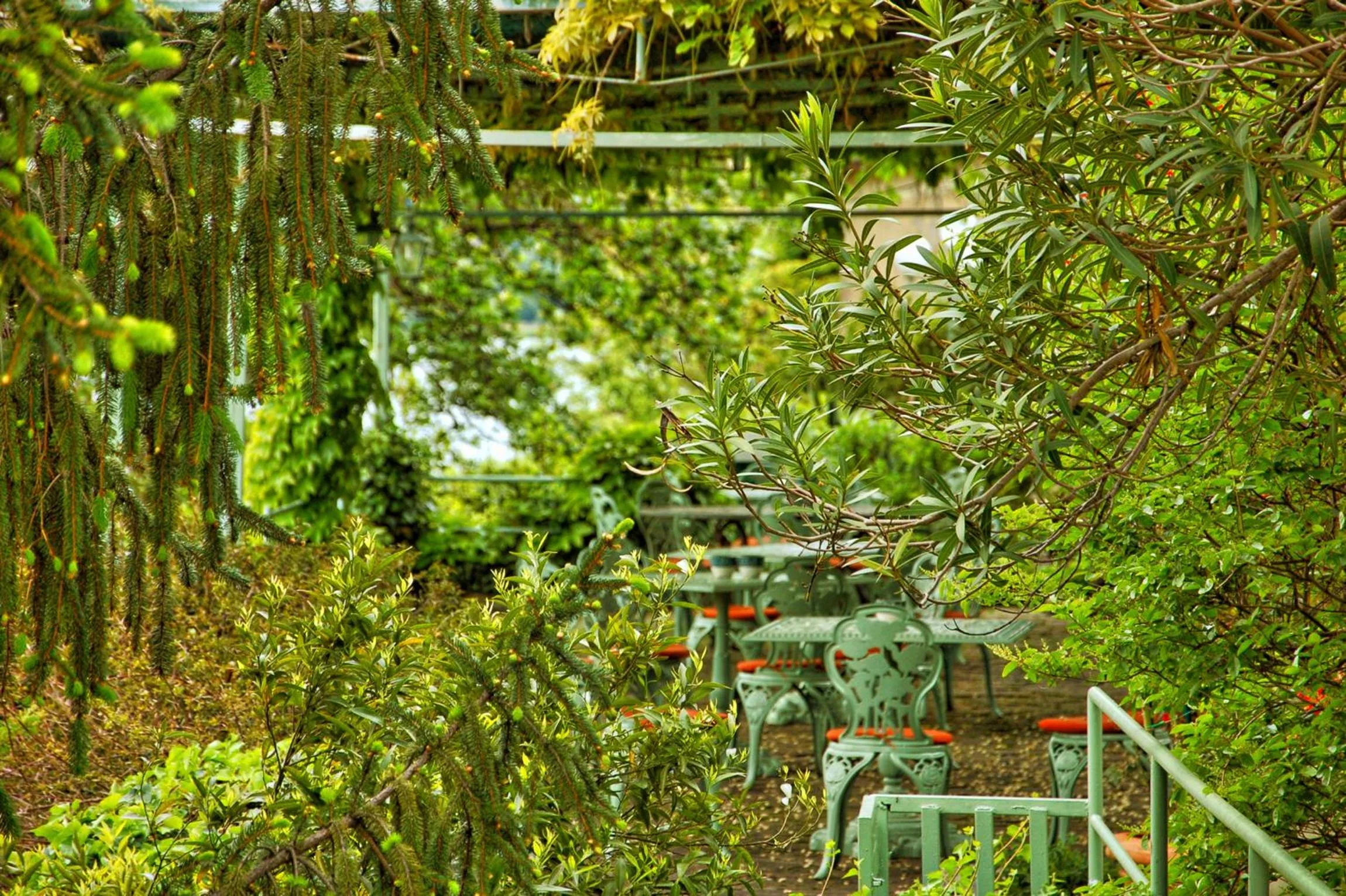 Patio in Hotel La Culla Del Lago