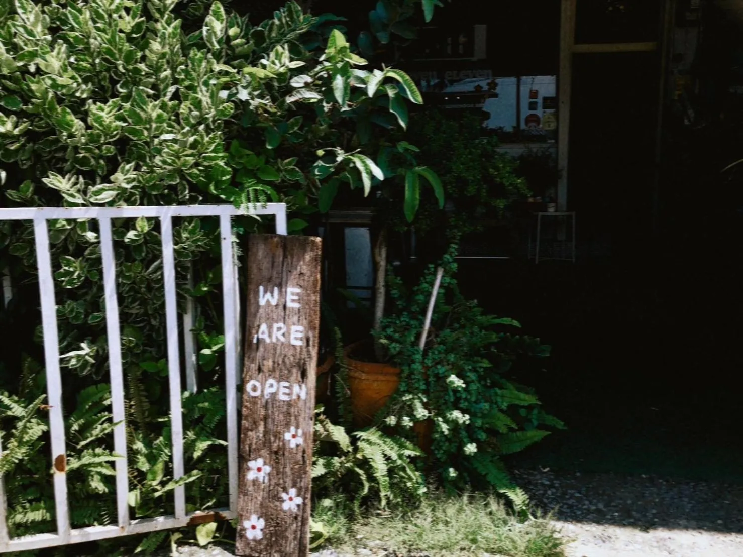 Garden view in 11:11 Hostel