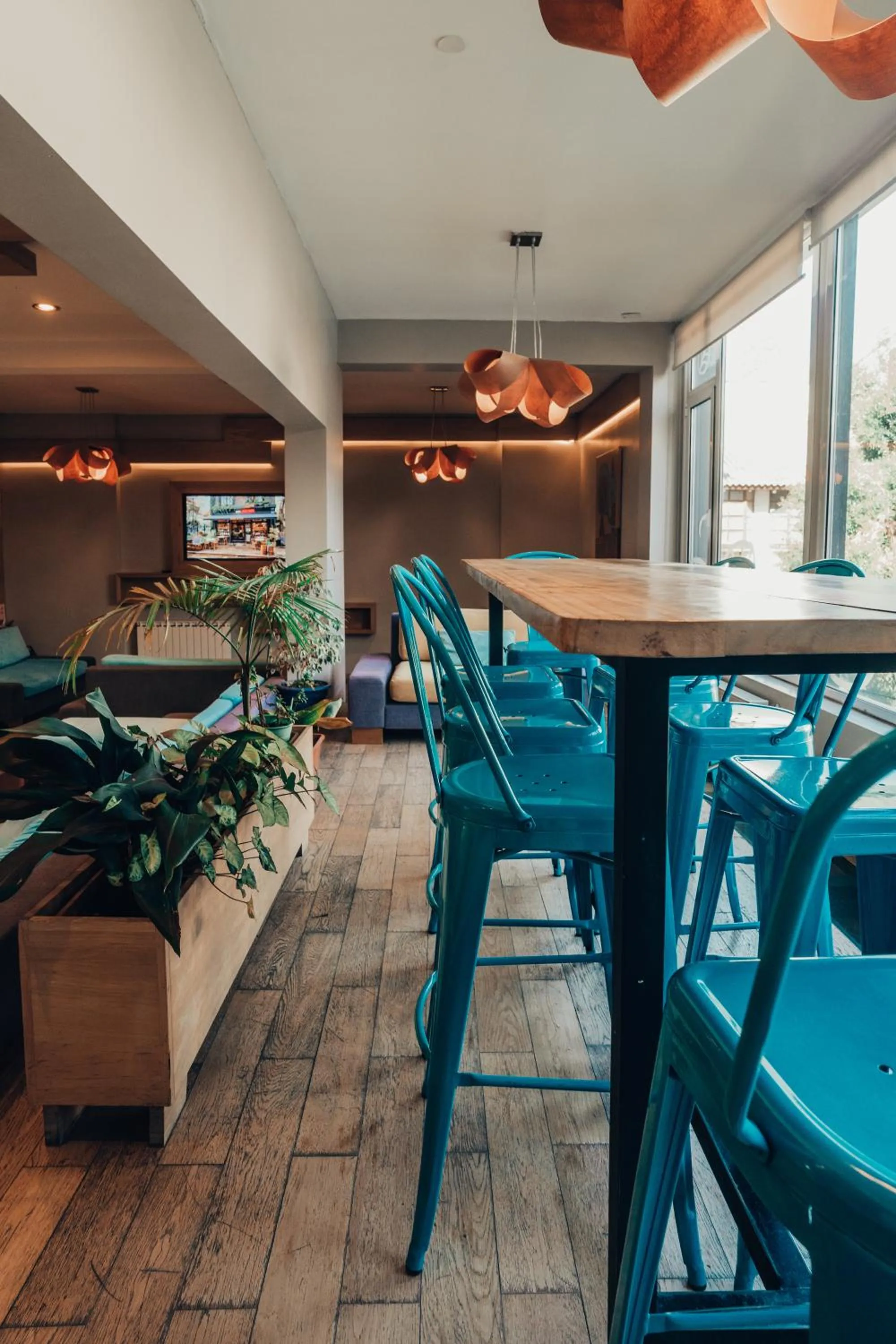 Area and facilities in Hotel EcoSki by bund