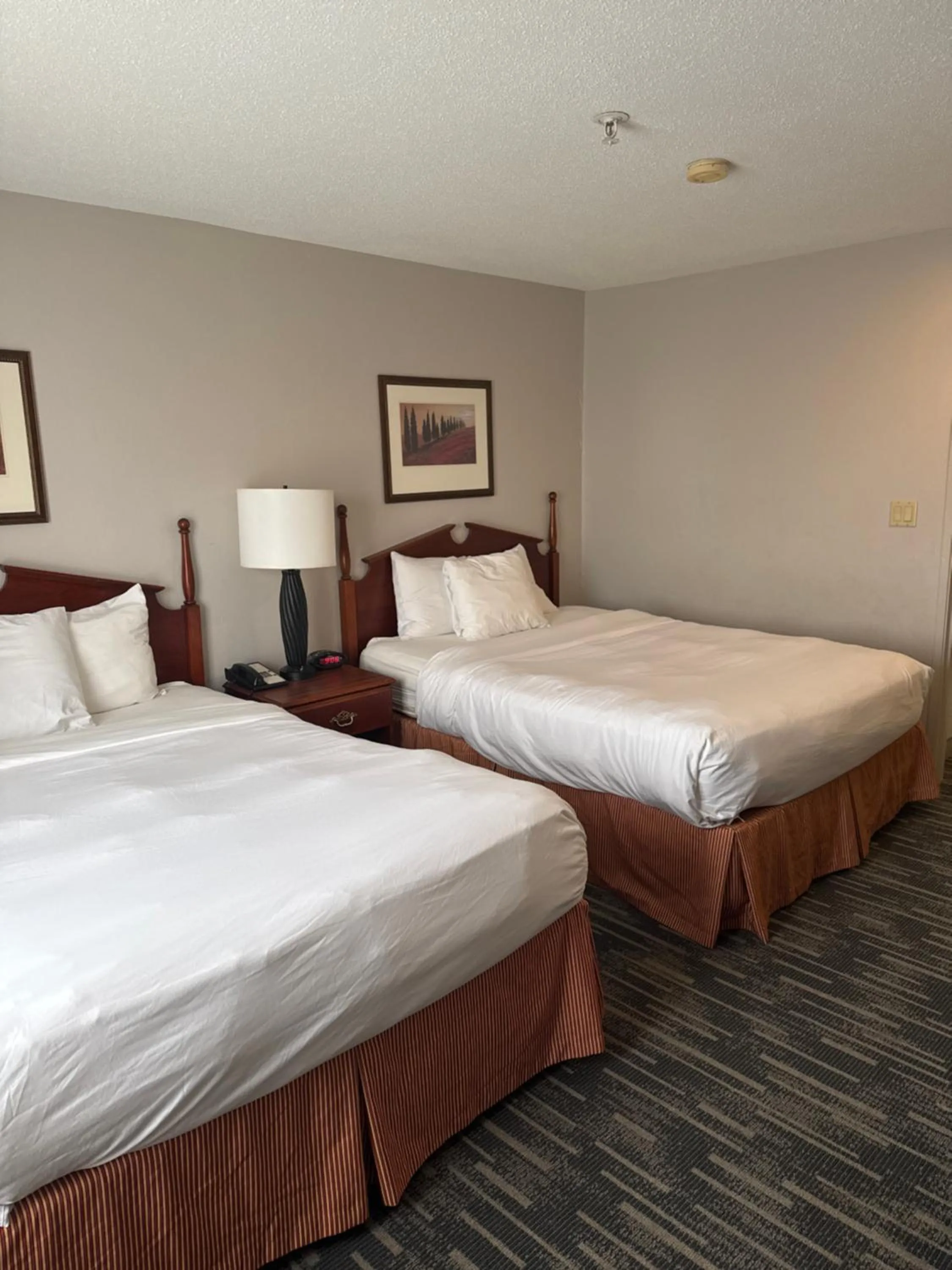 Photo of the whole room, Bed in Country Inn & Suites by Radisson, Elgin, IL
