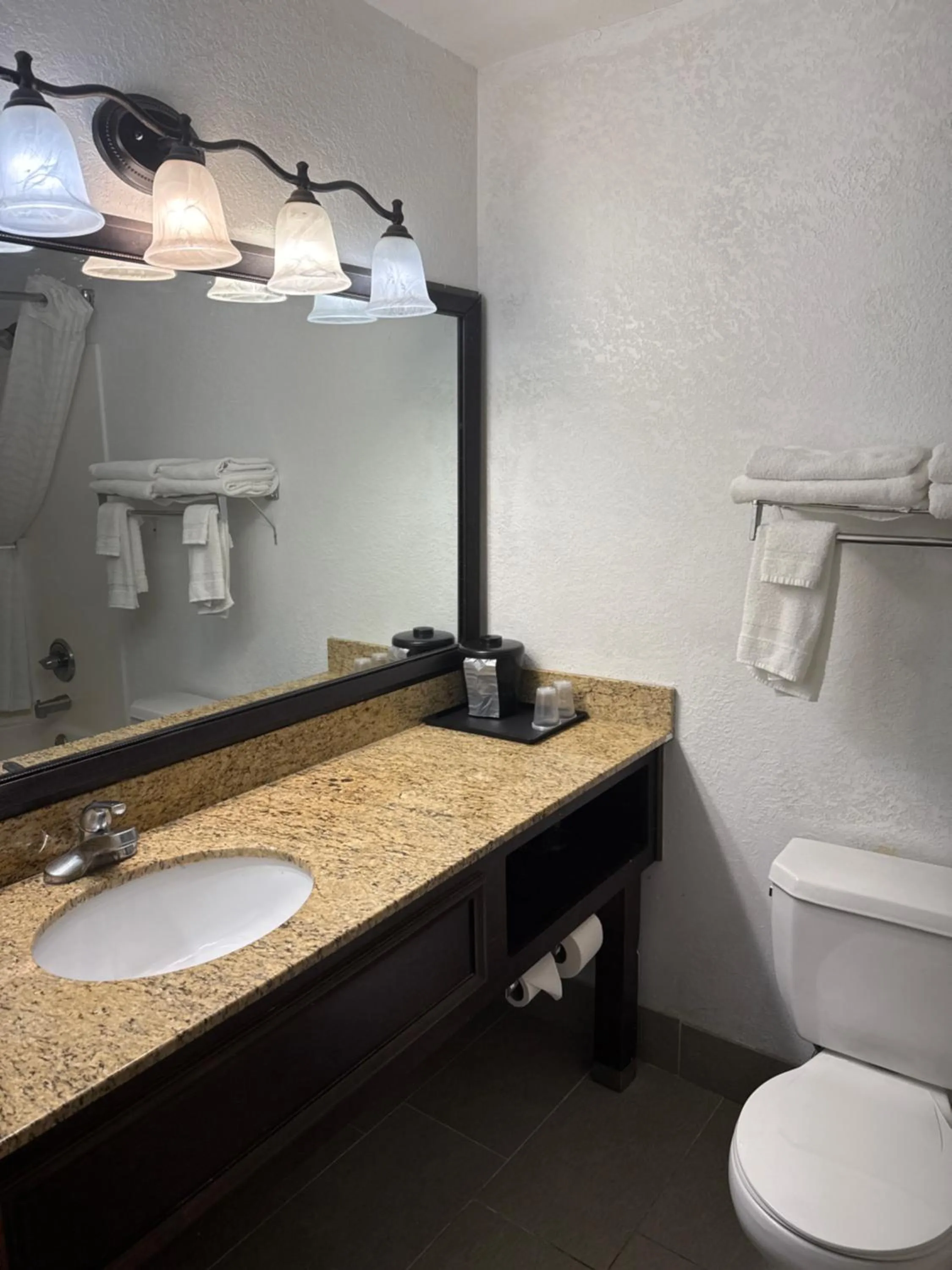 Bathroom in Country Inn & Suites by Radisson, Elgin, IL