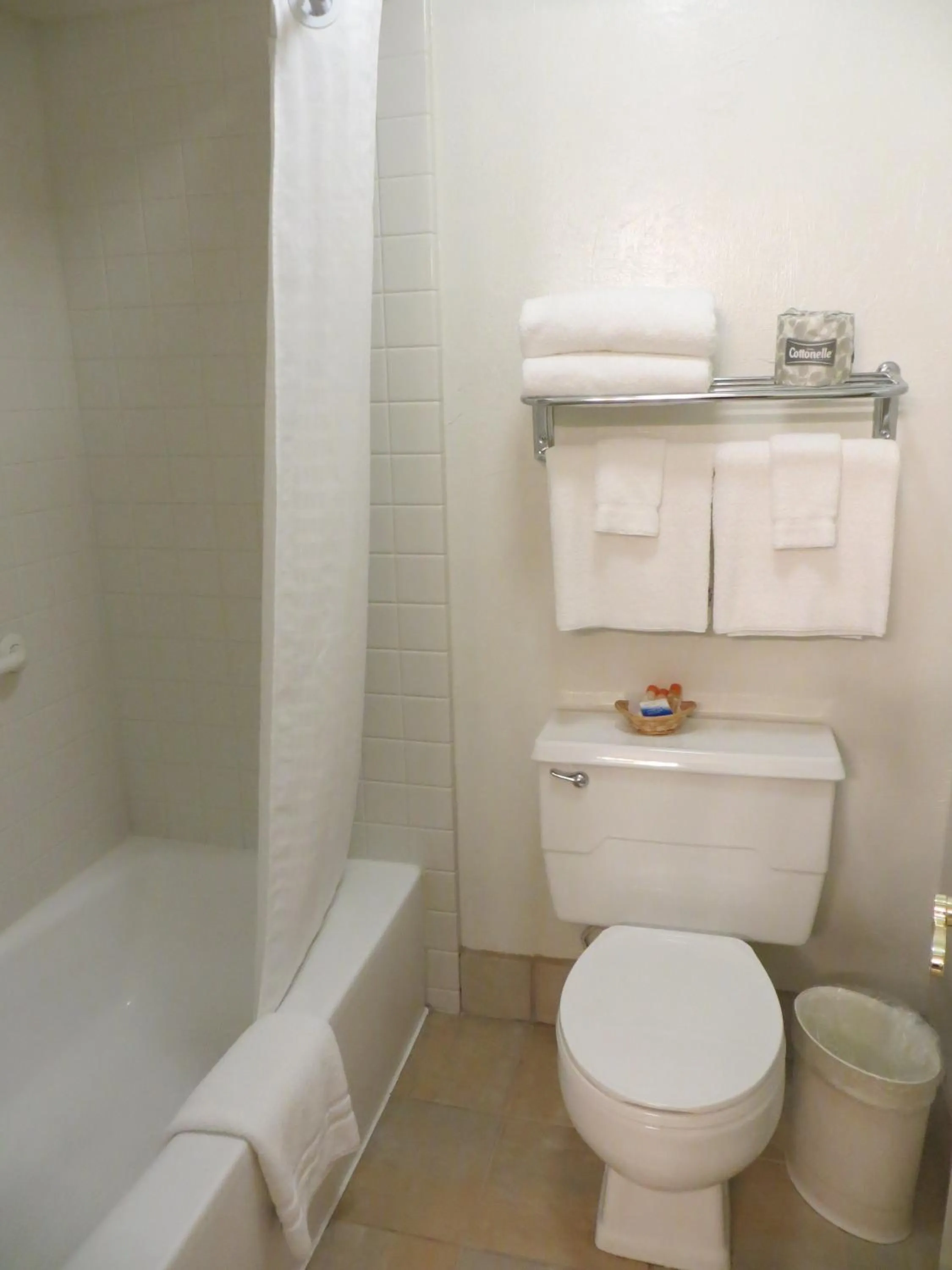 Bathroom in Executive Inn & Suites Sacramento