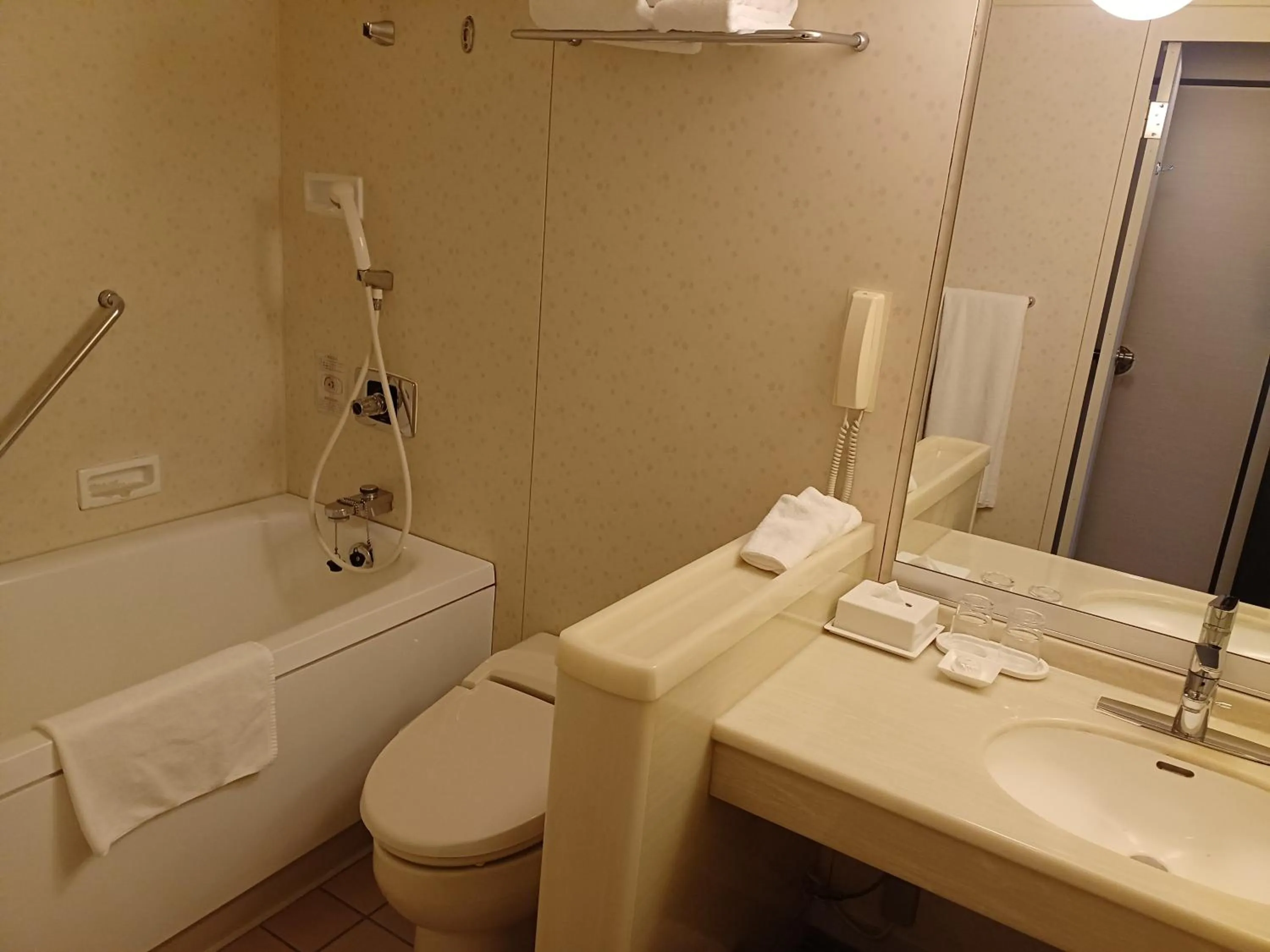 ANA Crowne Plaza Hotel Kyoto by IHG