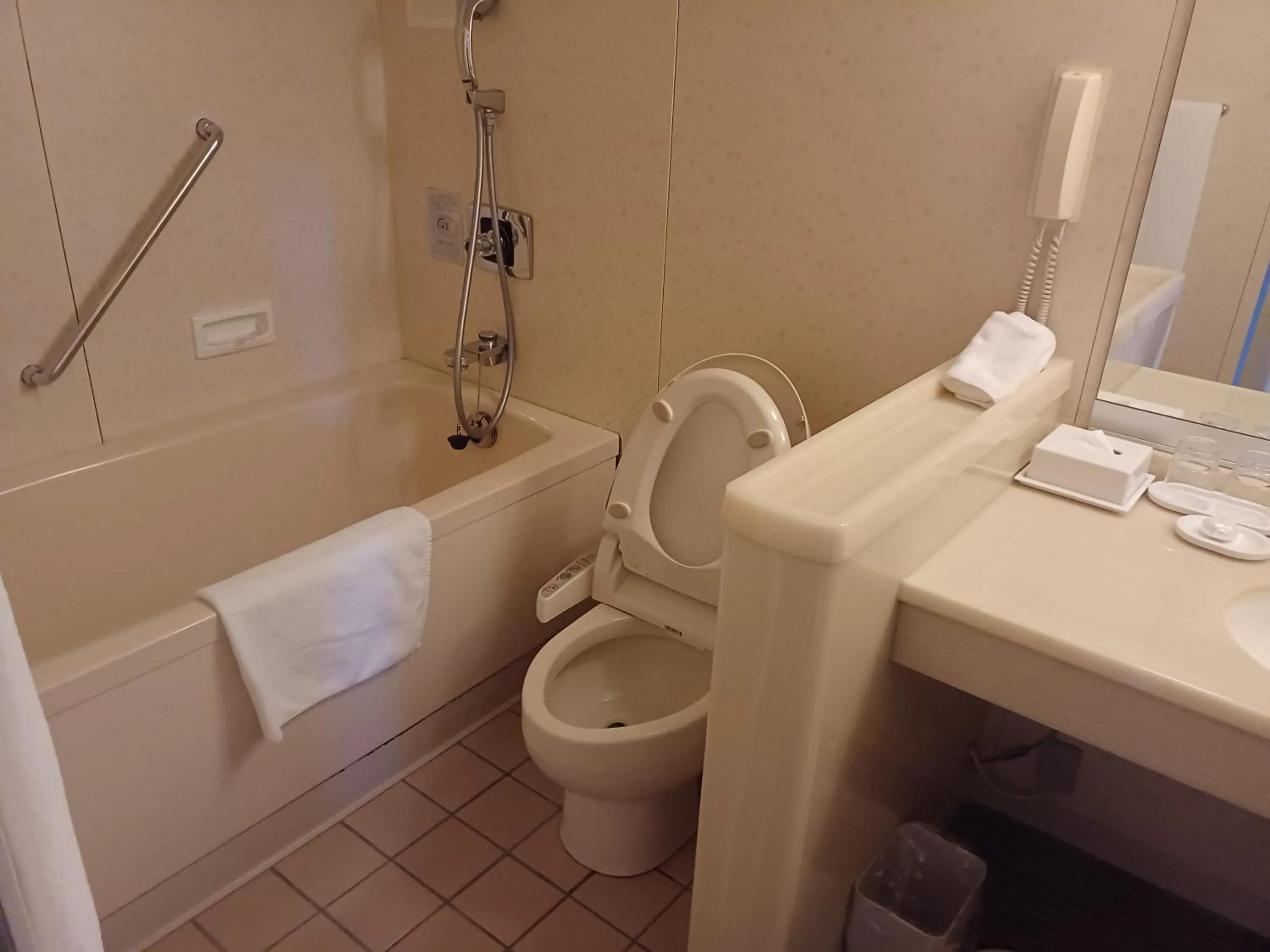 ANA Crowne Plaza Hotel Kyoto by IHG