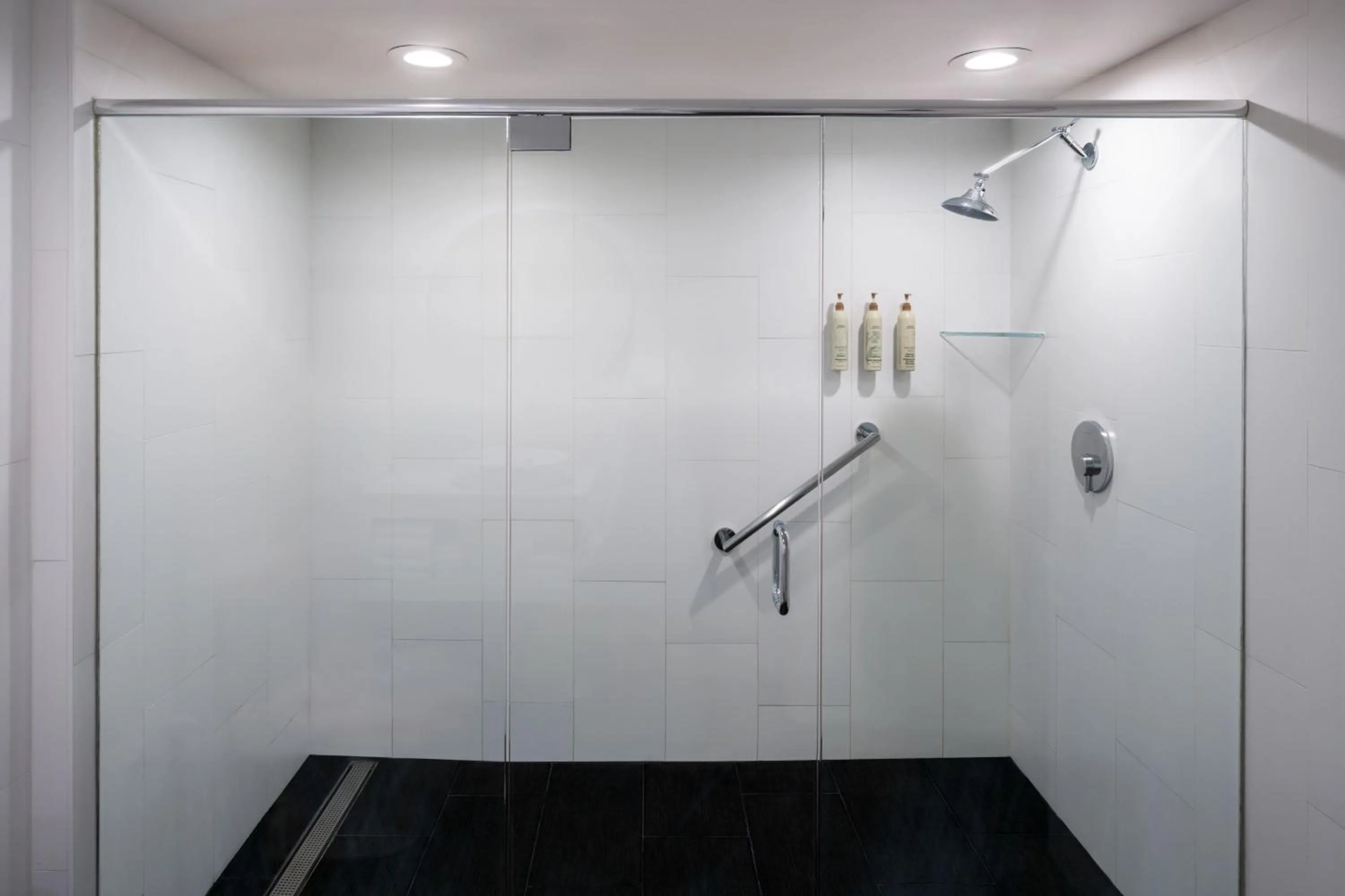 Bathroom in Renaissance Orlando Resort - Disney Springs Area