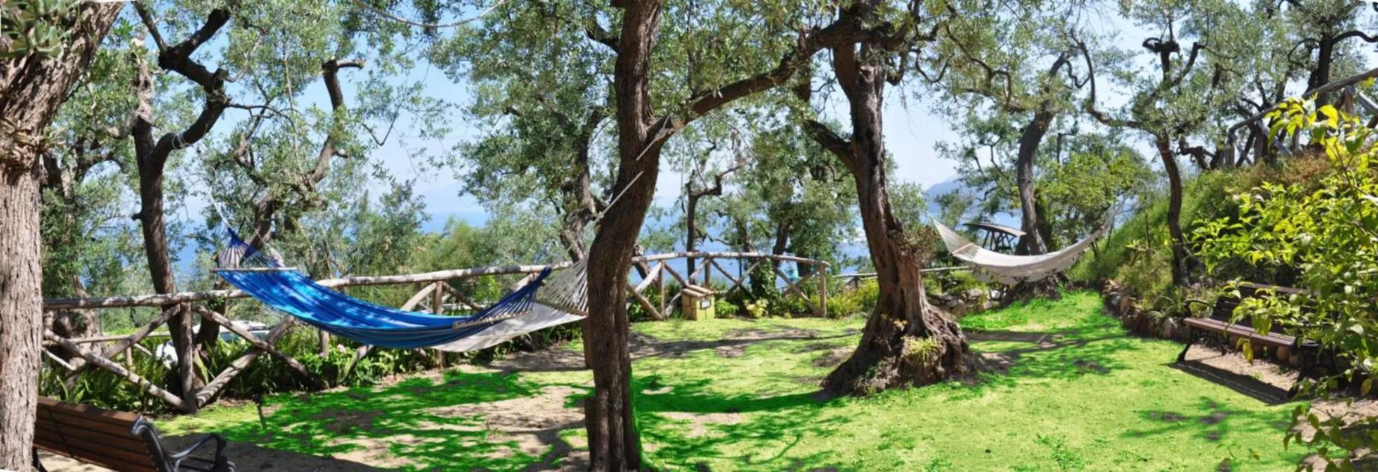 Garden in Hotel La Badia