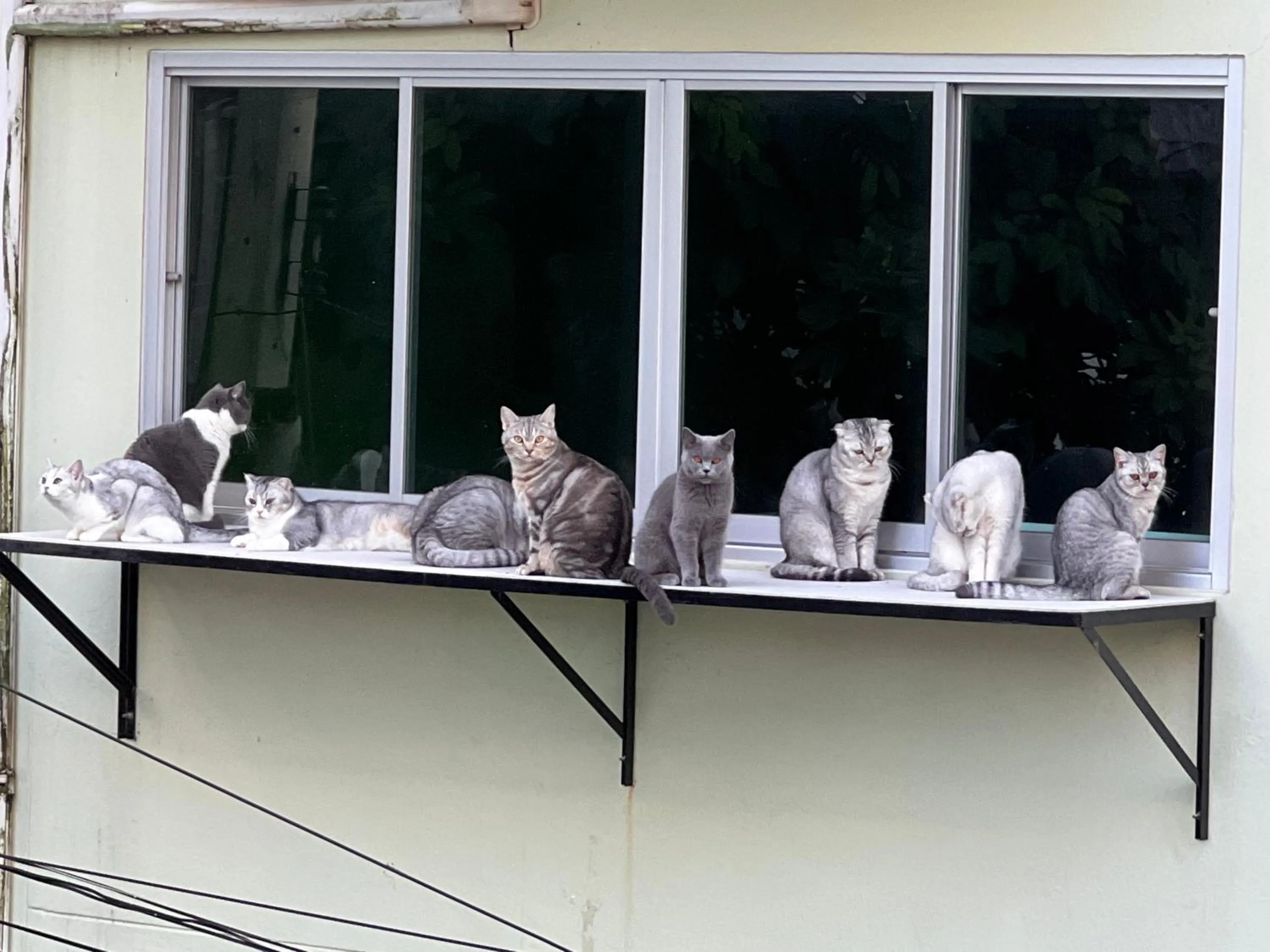 View (from property/room) in Baan Nilawan Hotel