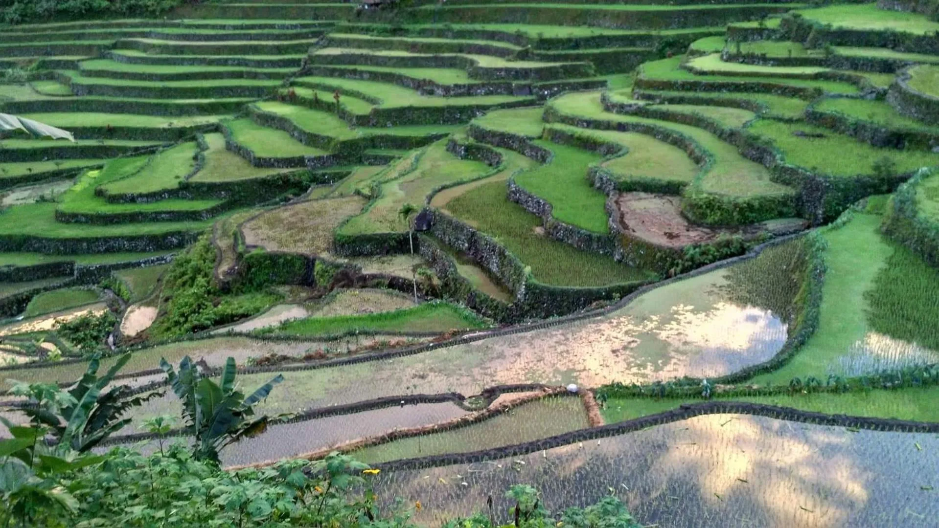 On site in BATAD CRISTINA'S Main Village INN & Restaurant