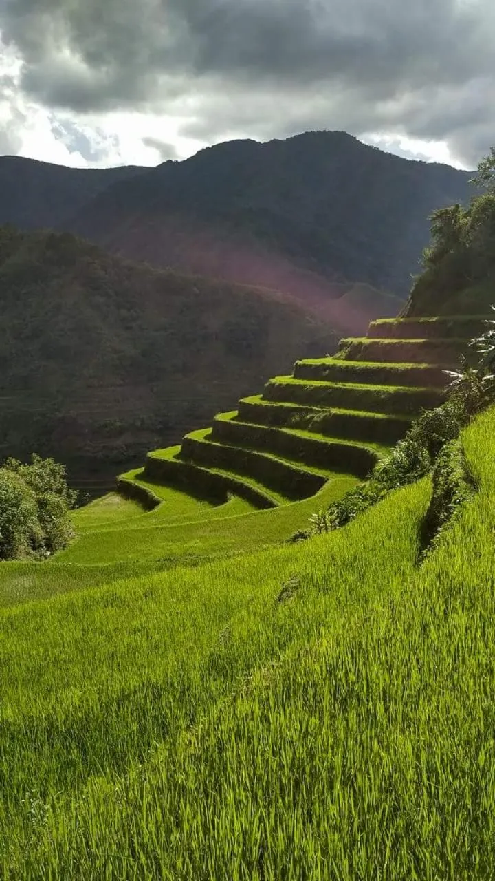 BATAD CRISTINA'S Main Village INN & Restaurant