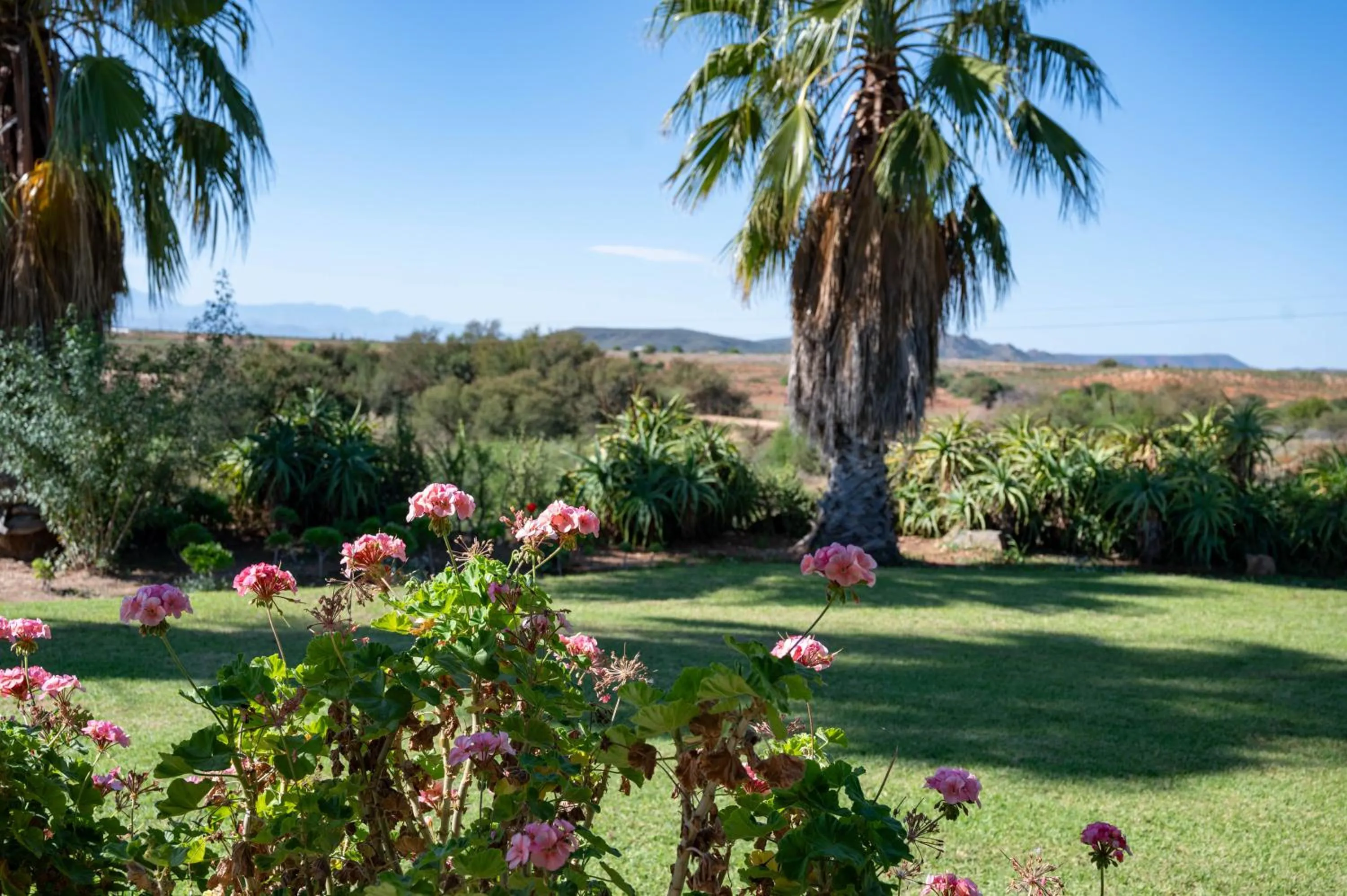 Garden in De Denne Country Guest House