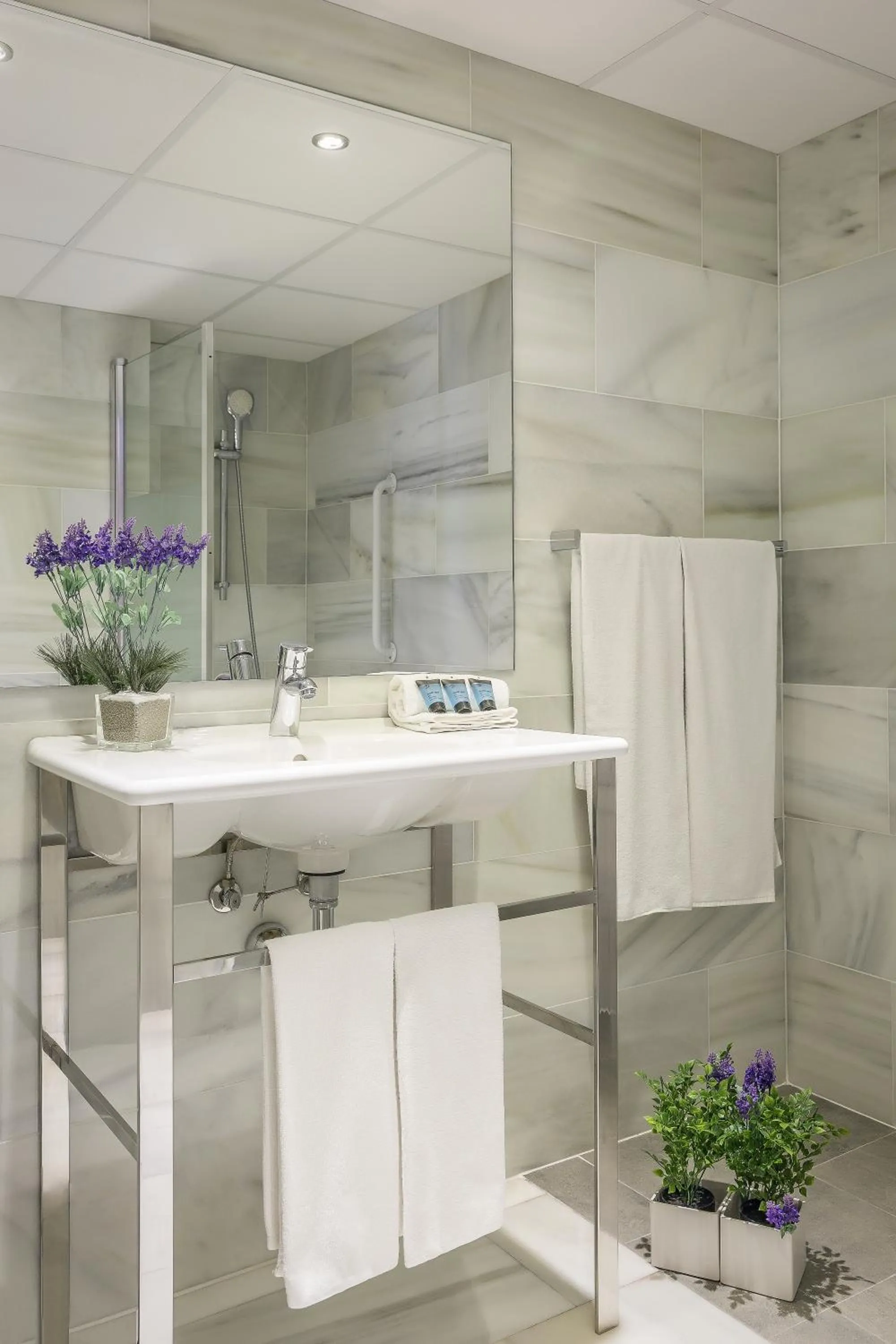 Shower in SM Hotel Teatre Auditori