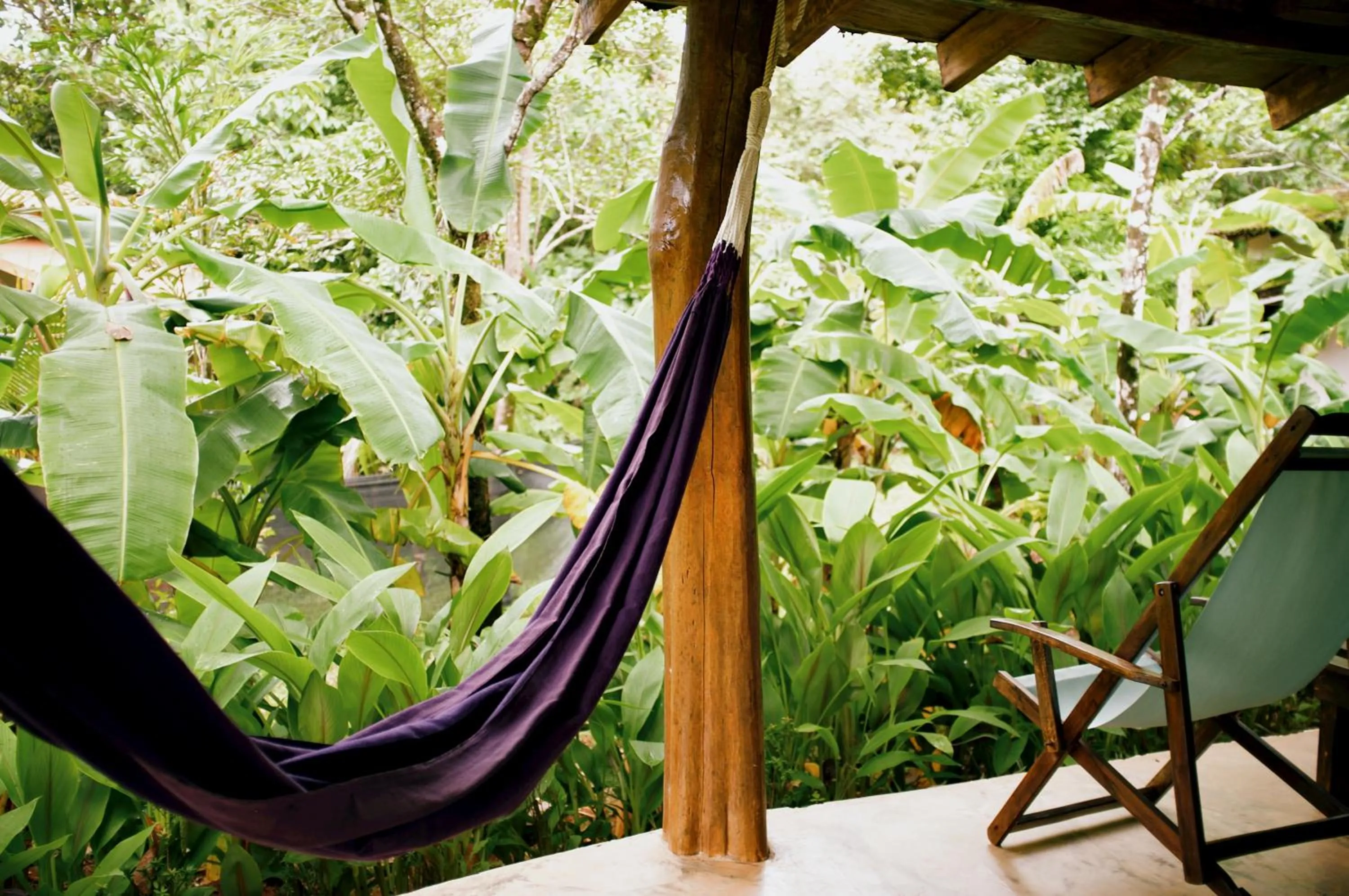 Balcony/Terrace in Villa Coco