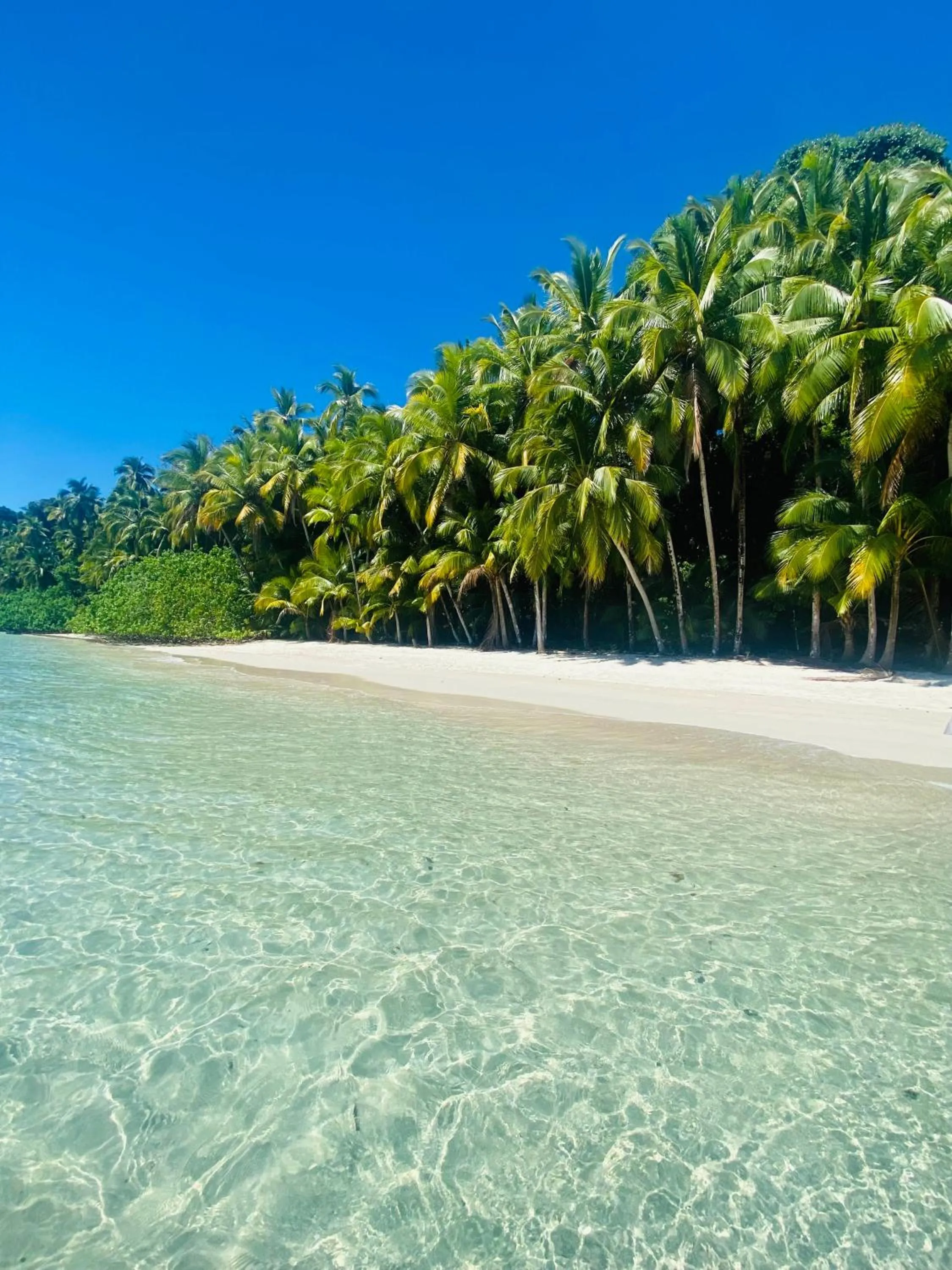 Activities in Villa Coco