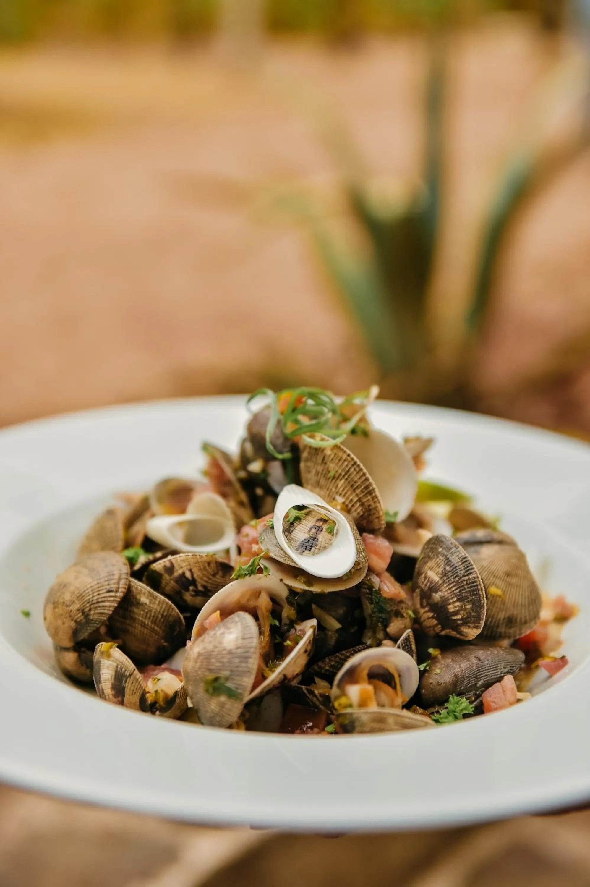 Restaurant/places to eat in Villa Coco