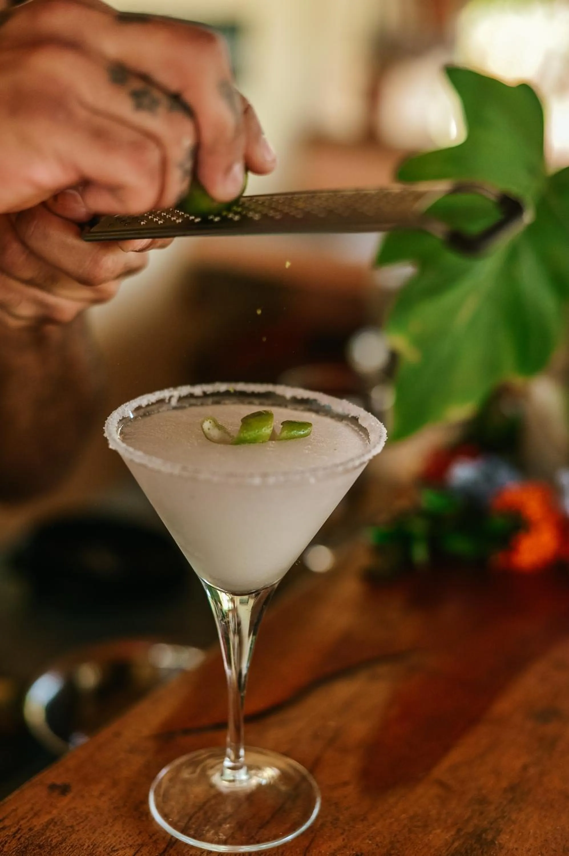 Lounge or bar in Villa Coco