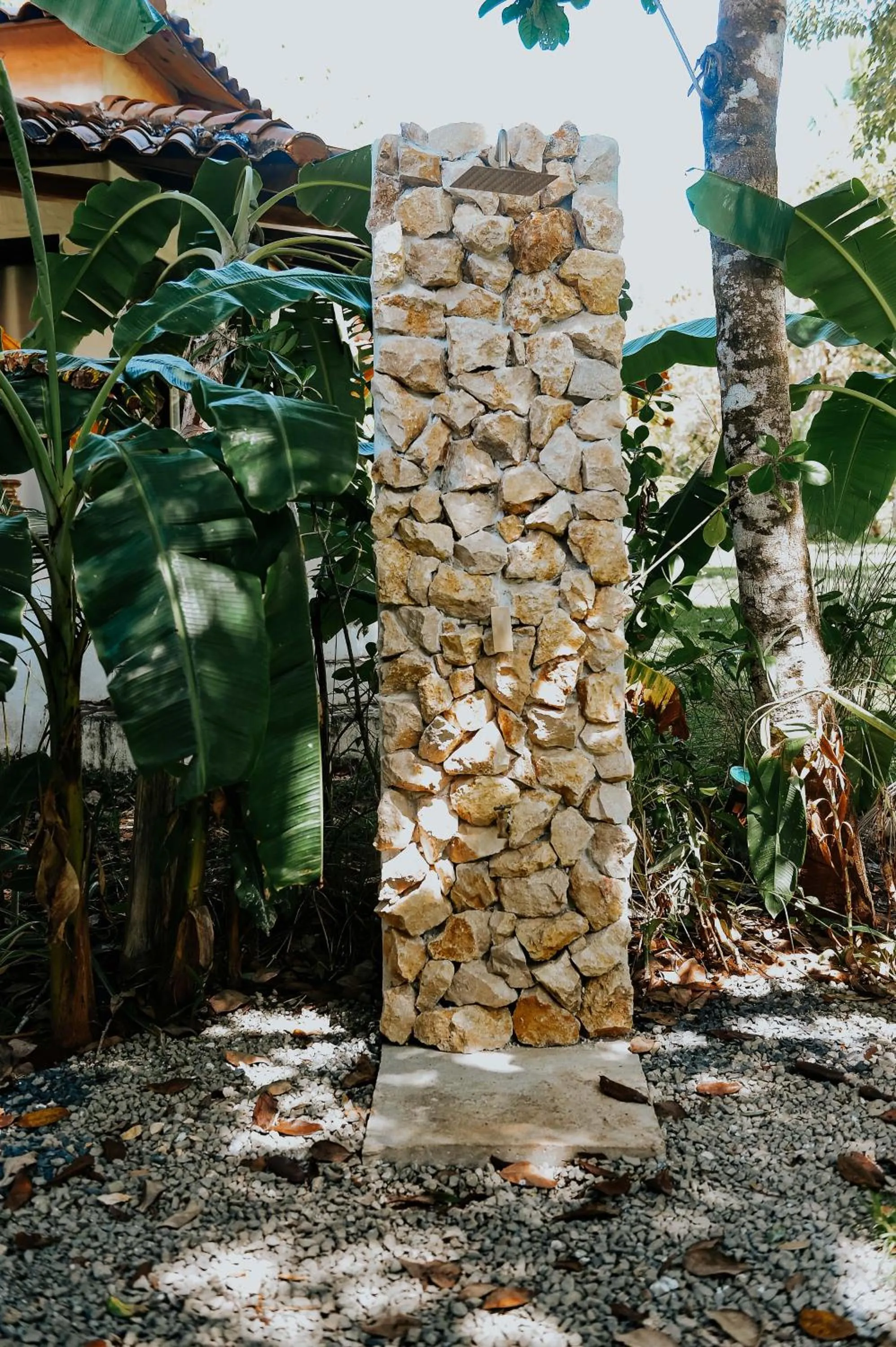 Garden in Villa Coco
