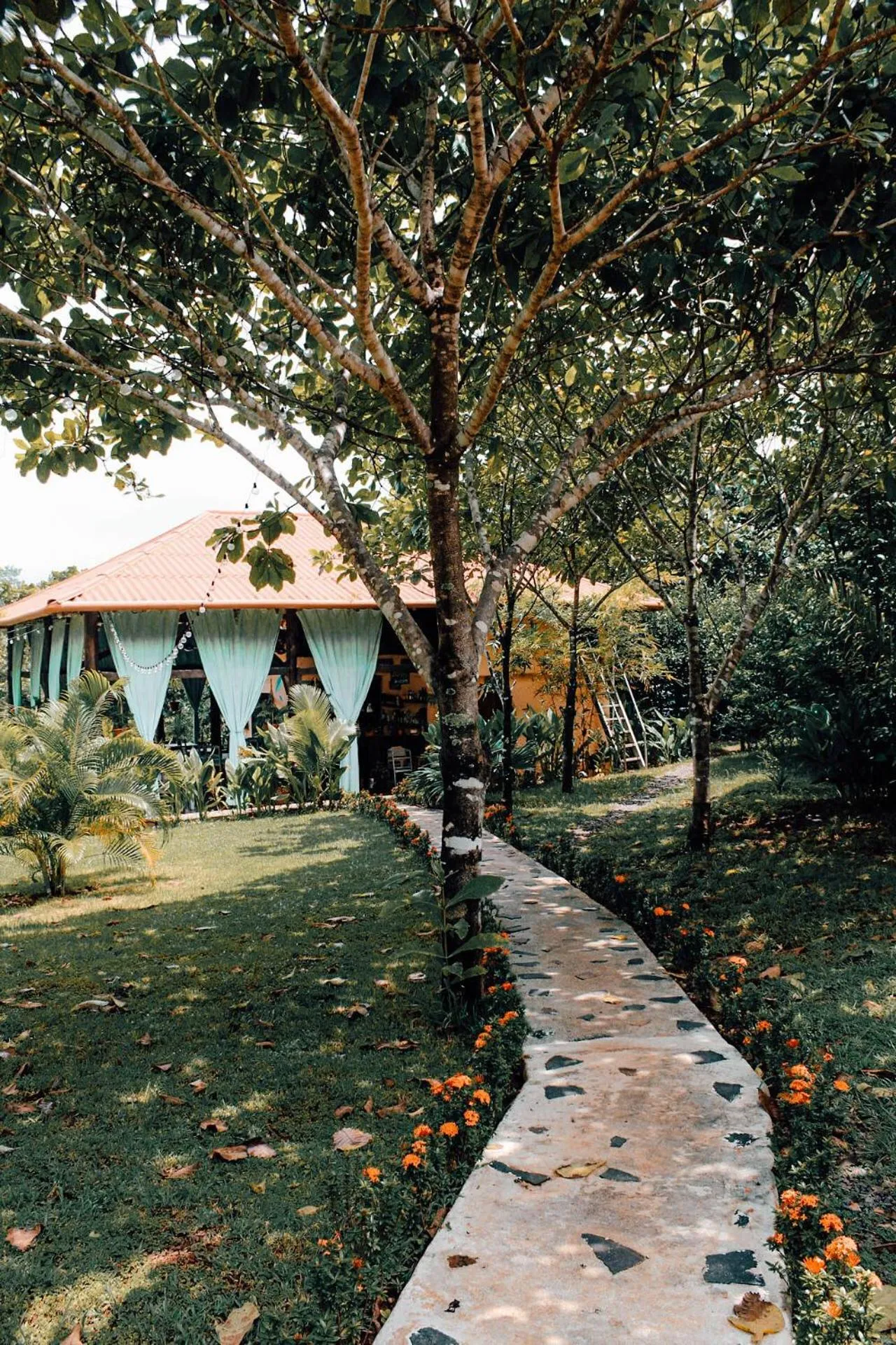 Restaurant/places to eat in Villa Coco