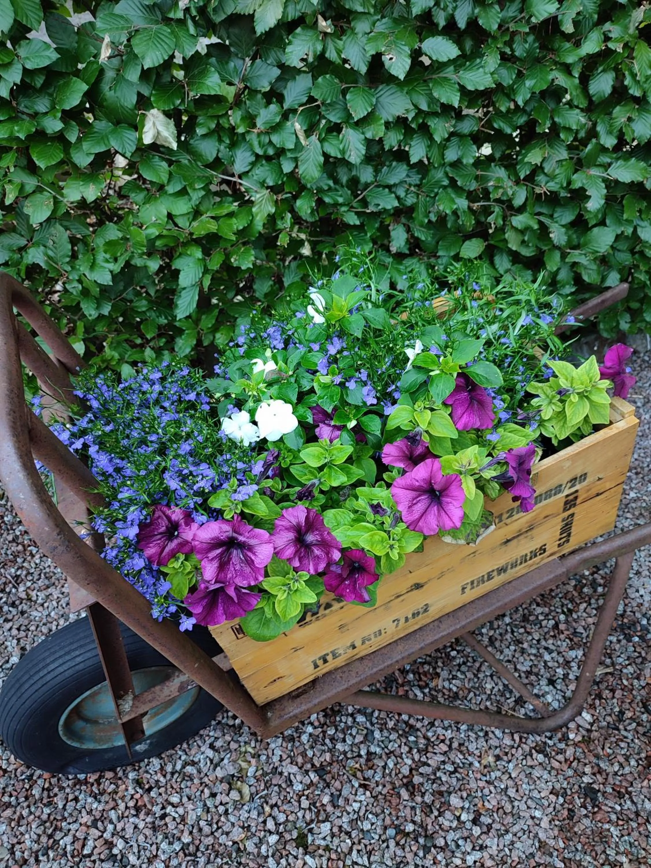 Garden in Hotel Groote Engel