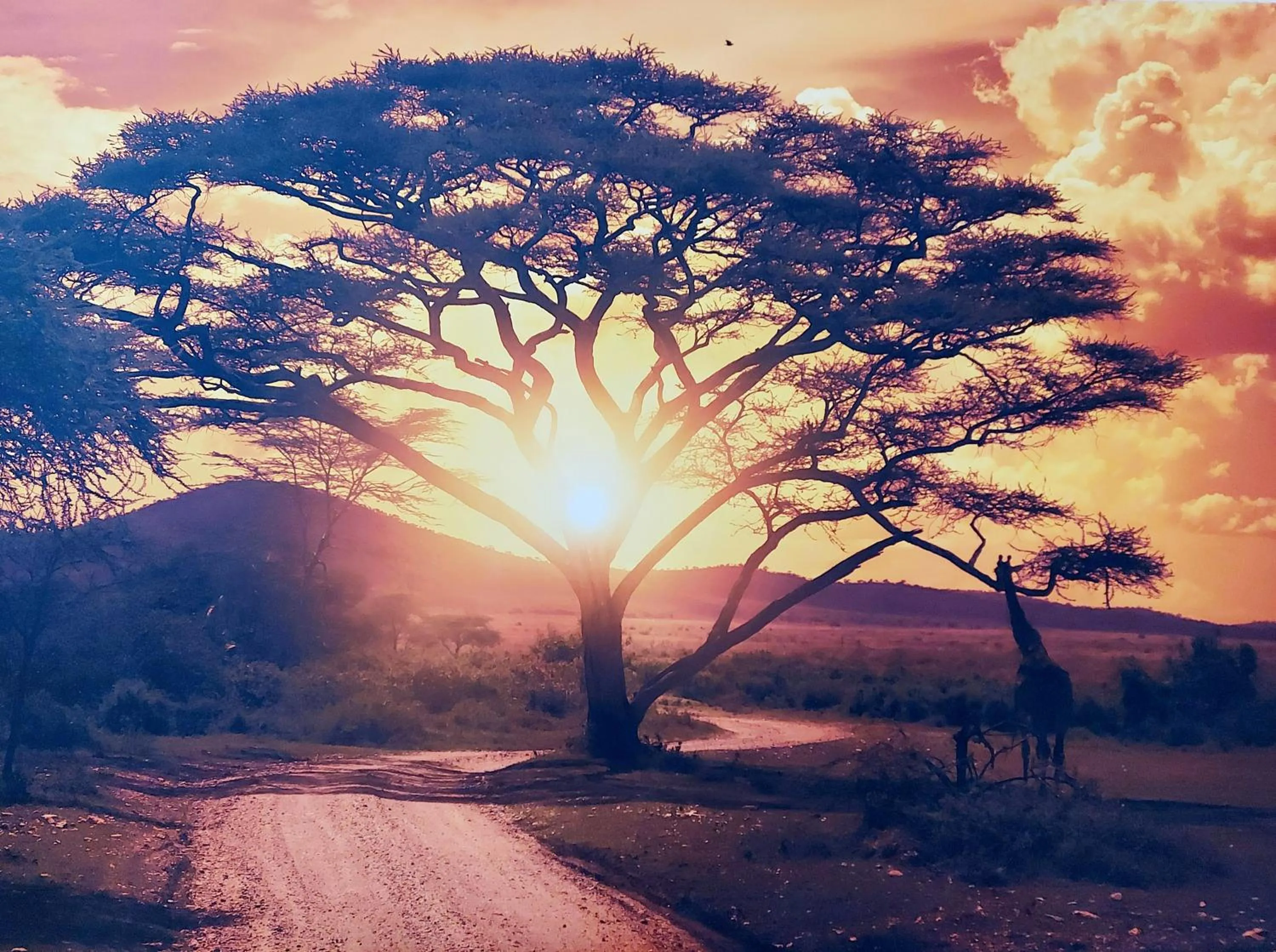 Other in Hotel Mondial