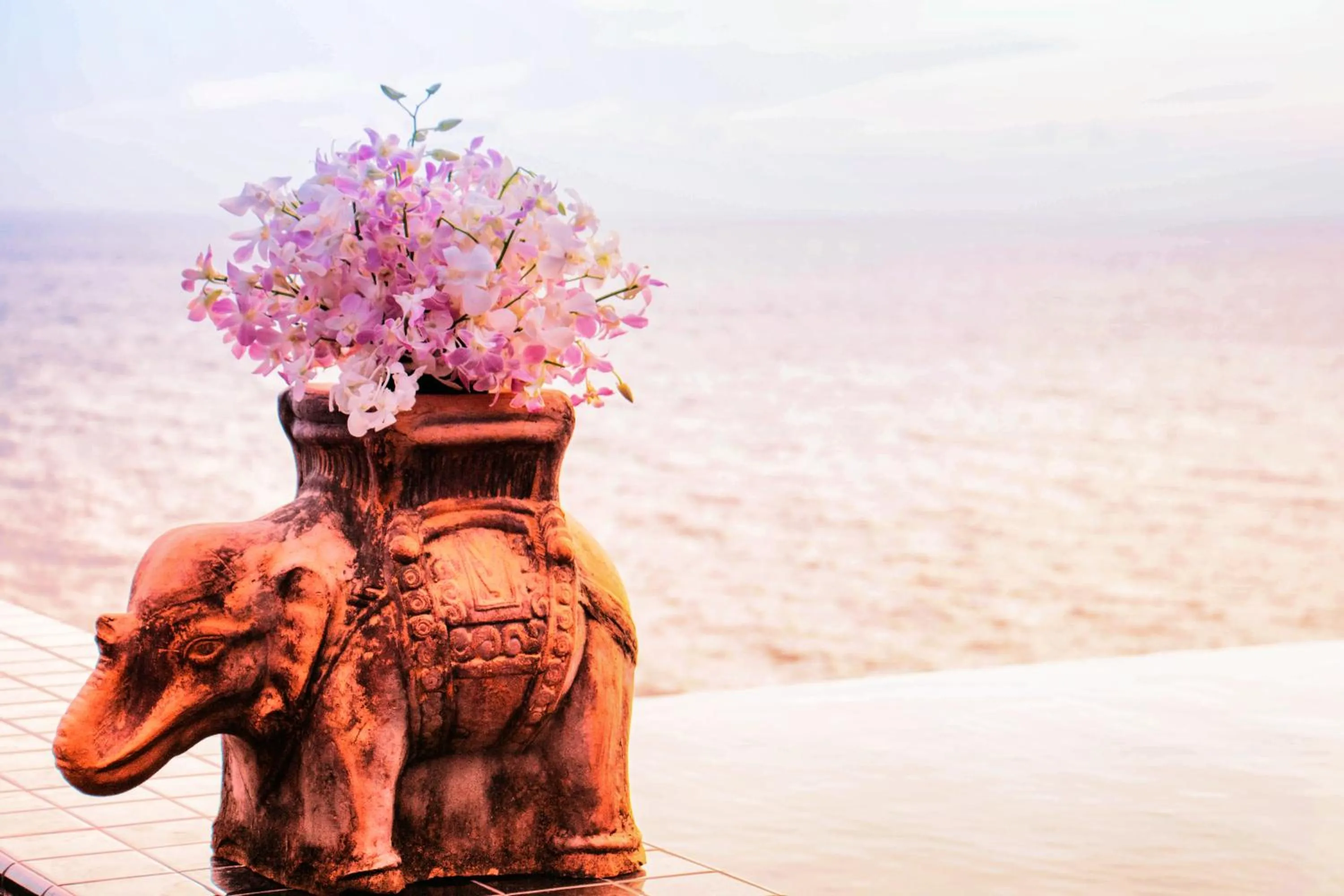 Banquet/Function facilities in Ayara Kamala Resort & Spa - SHA Extra Plus