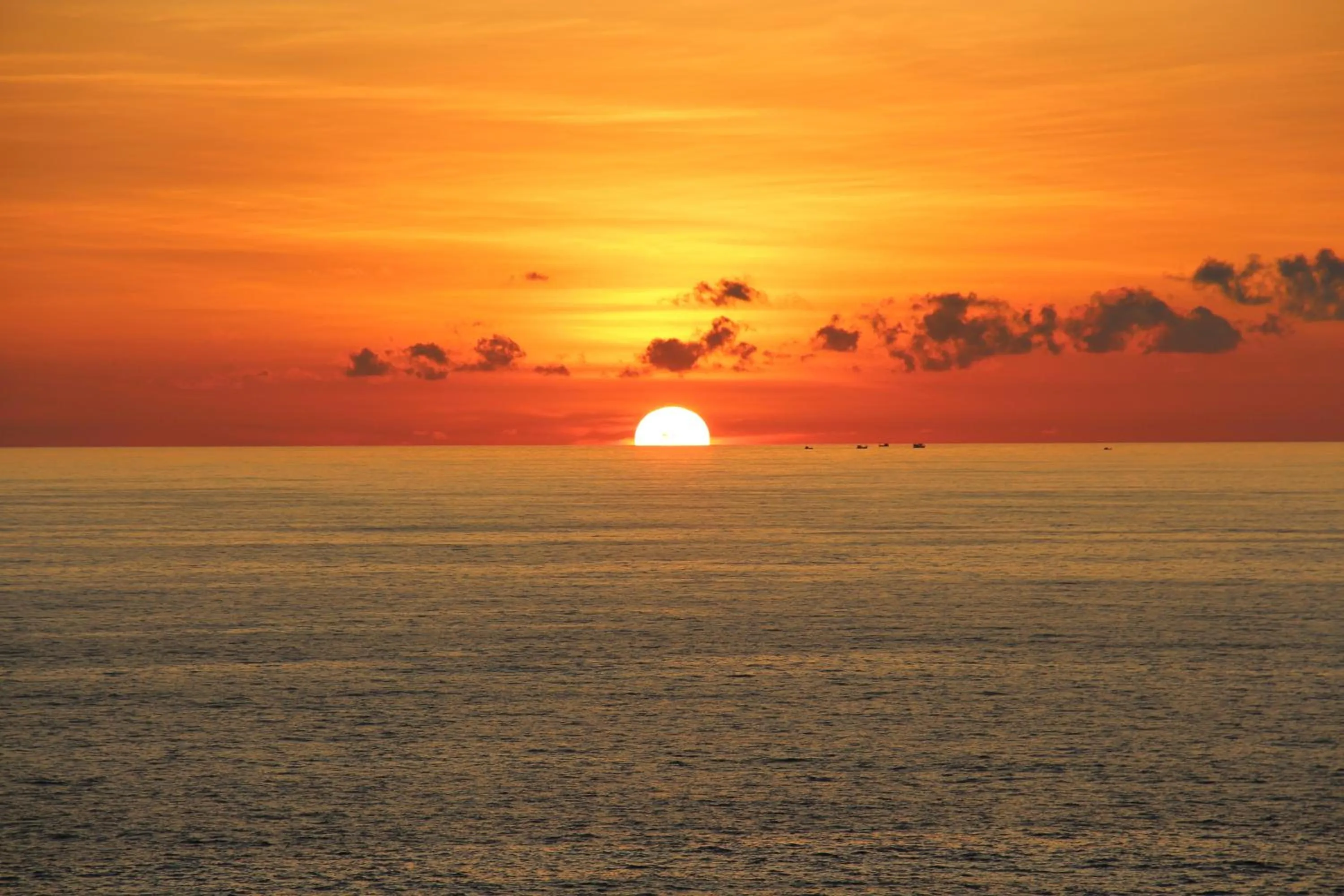 View (from property/room) in Ayara Kamala Resort & Spa - SHA Extra Plus