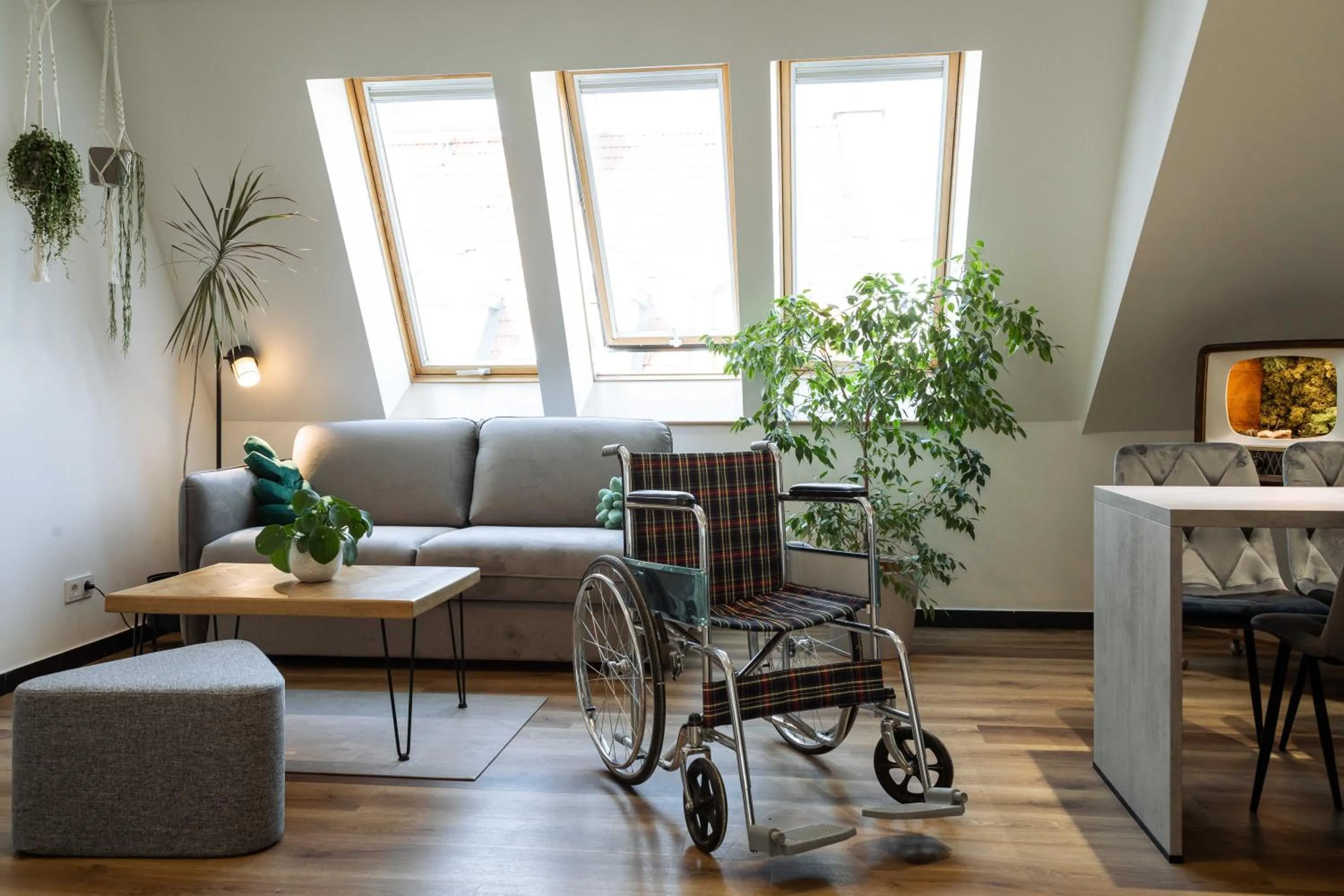 Living room in Urban Jungle Apartments
