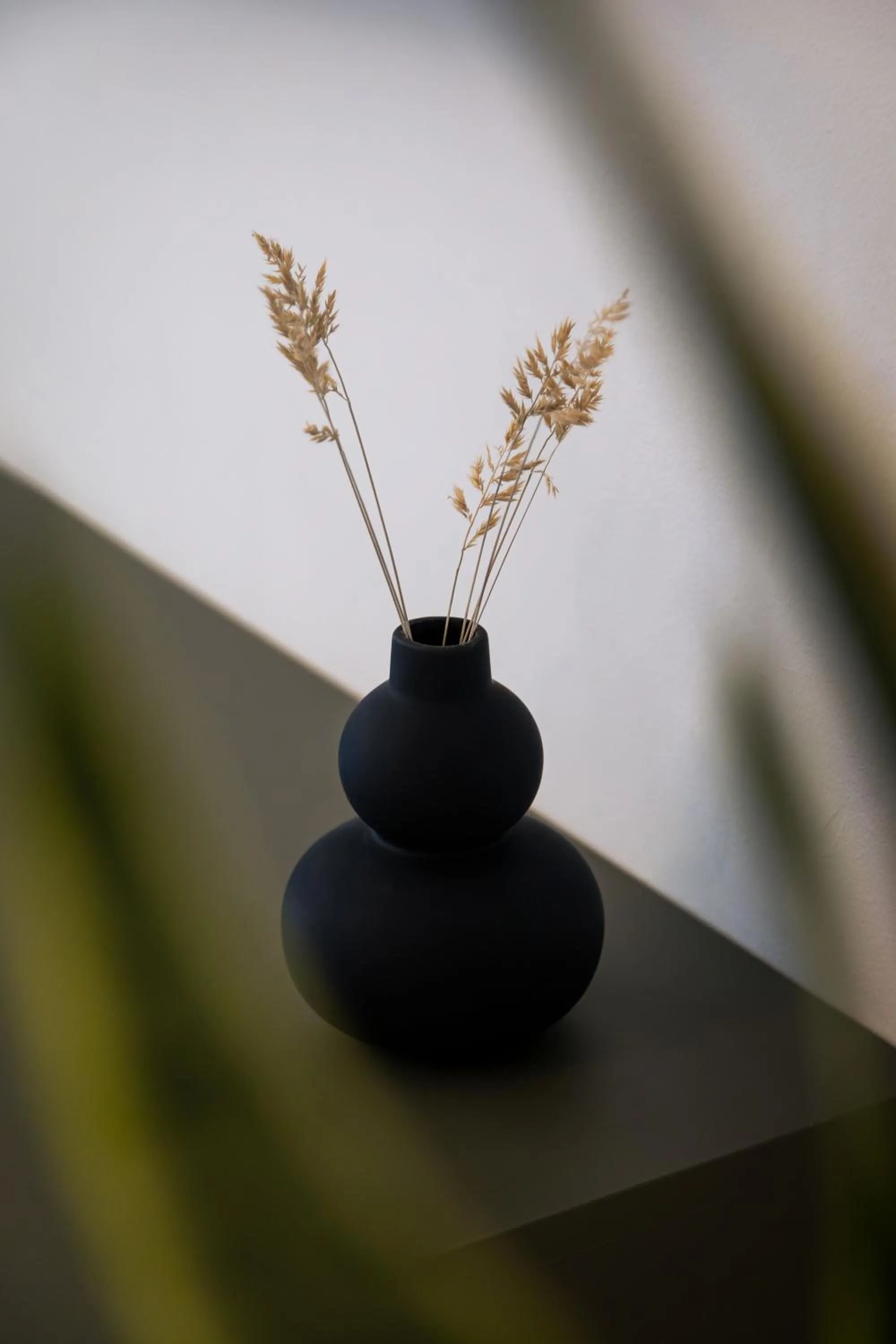 Living room in Urban Jungle Apartments