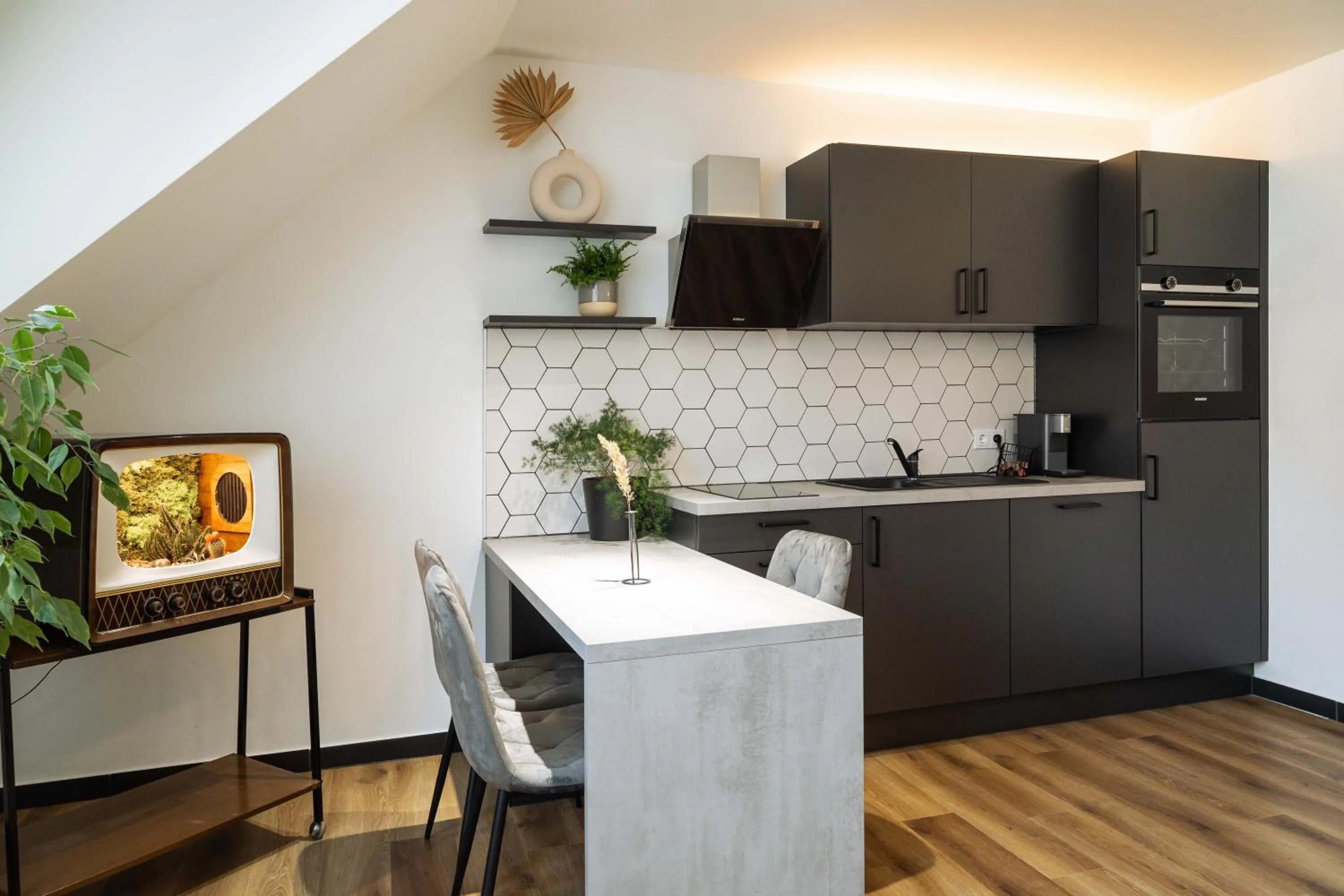 Kitchen or kitchenette in Urban Jungle Apartments