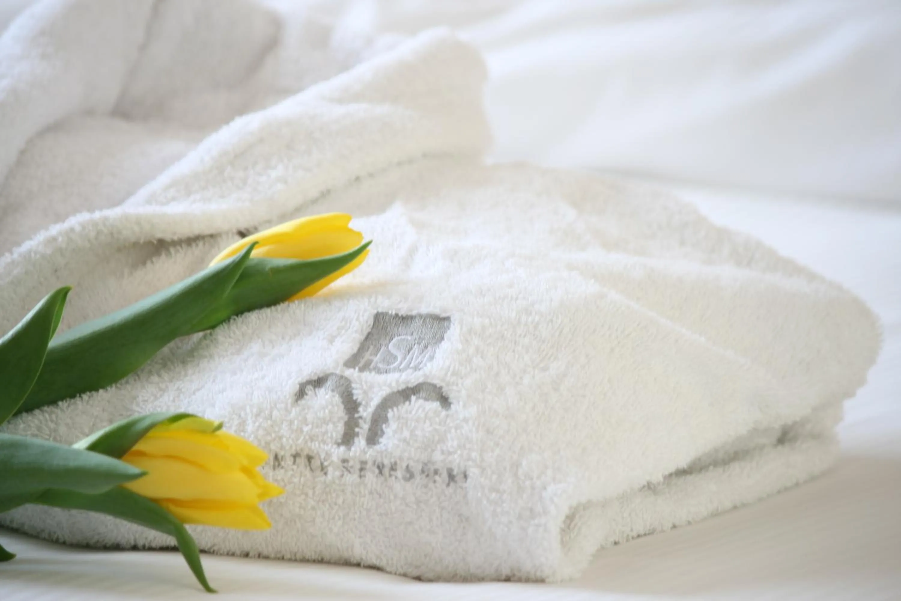 Spa and wellness centre/facilities in Hotel San Martino