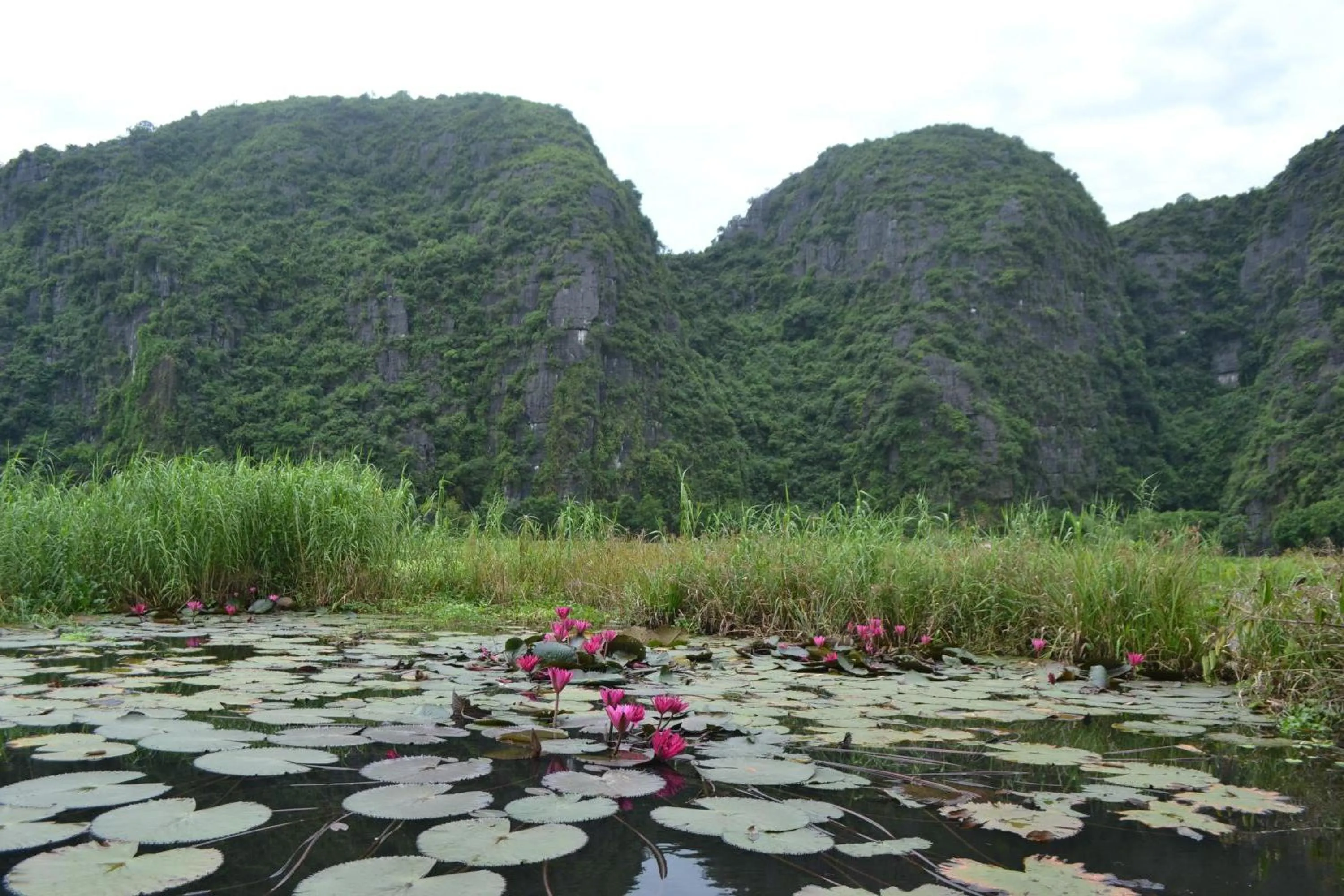 Nearby landmark in Tam Coc Smile Homestay