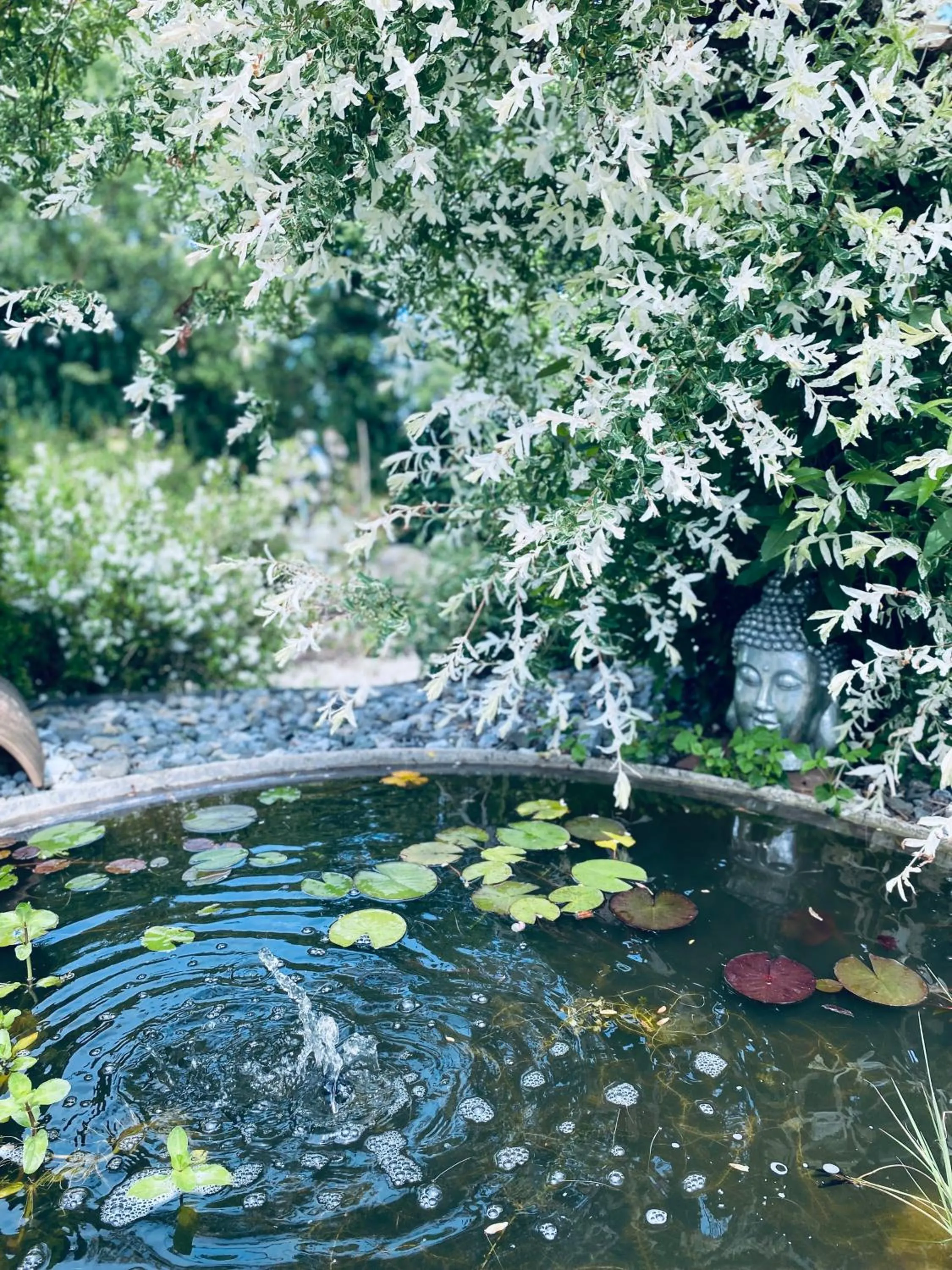 Garden in Landhotel Zerlaut