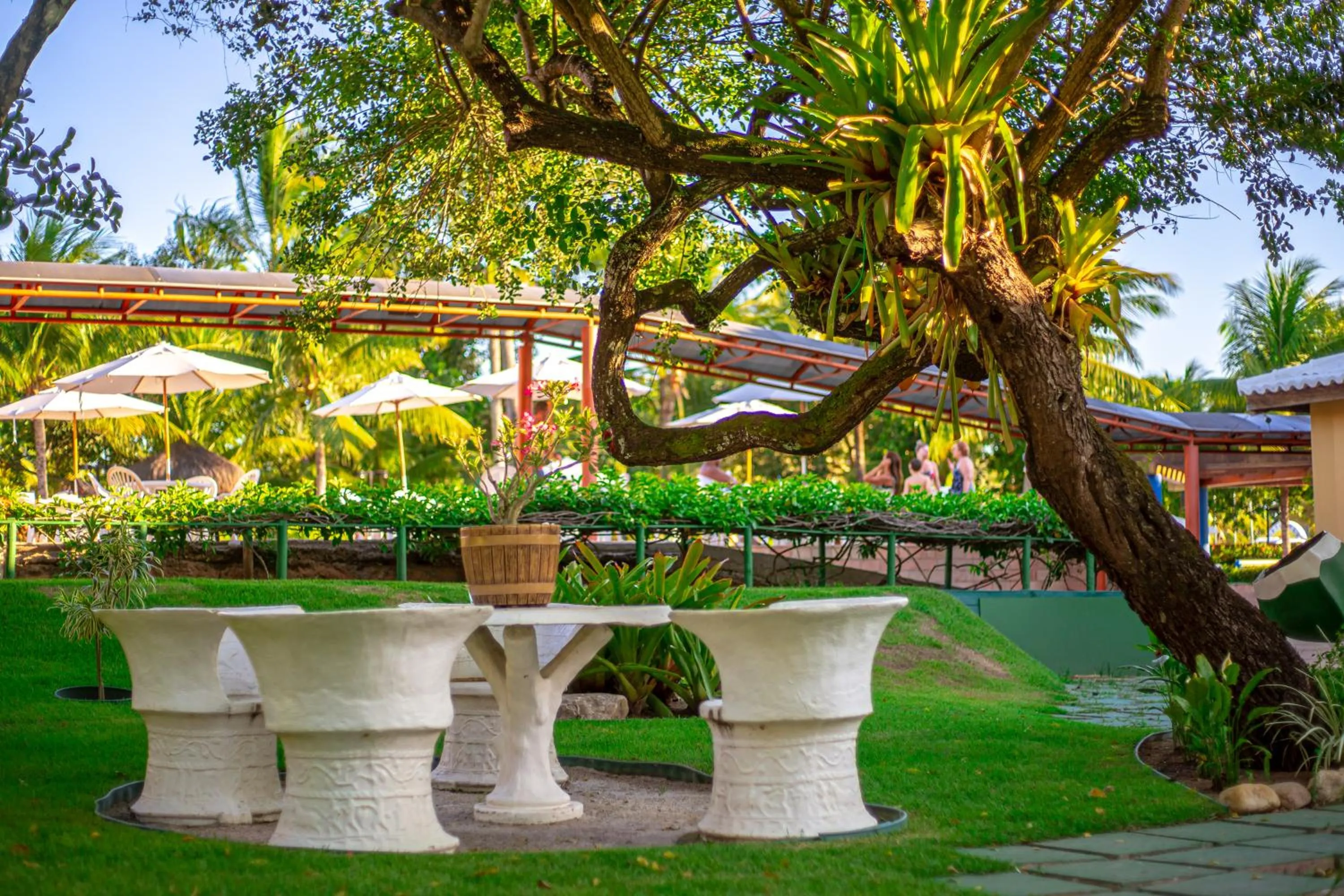 Garden in Portobello Praia