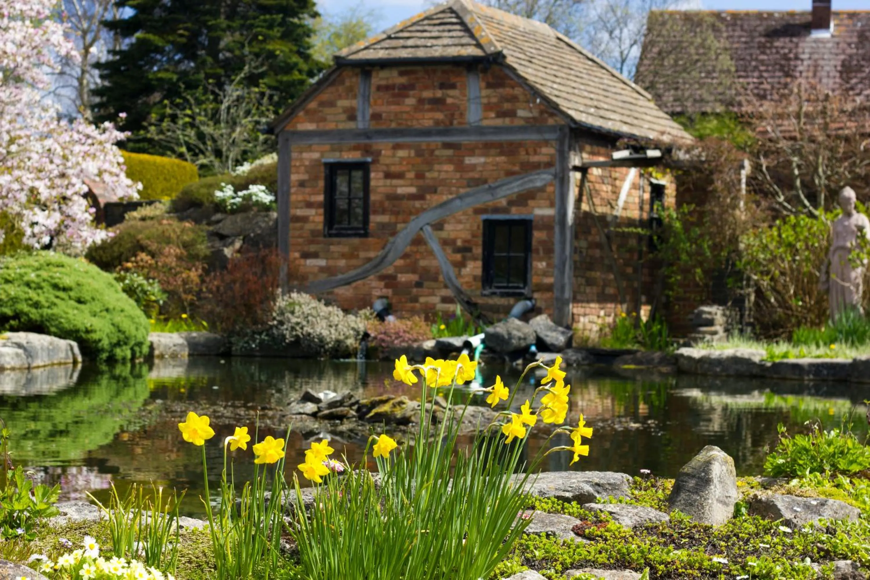 Facade/entrance in Springfield Country Hotel, Leisure Club & Spa