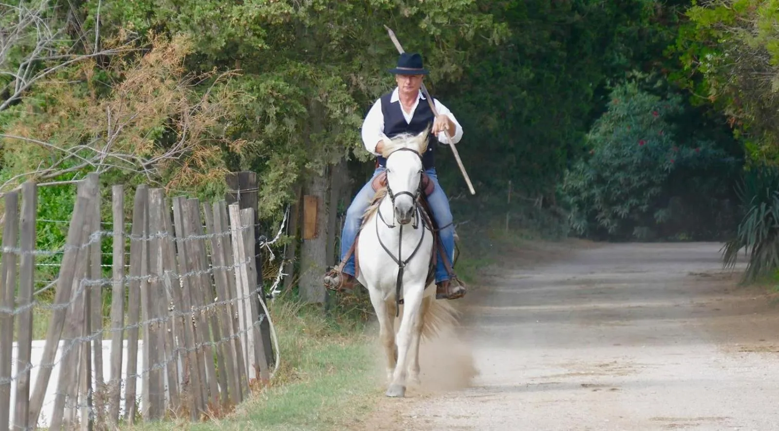 Horse-riding in Le Mas d'Icard