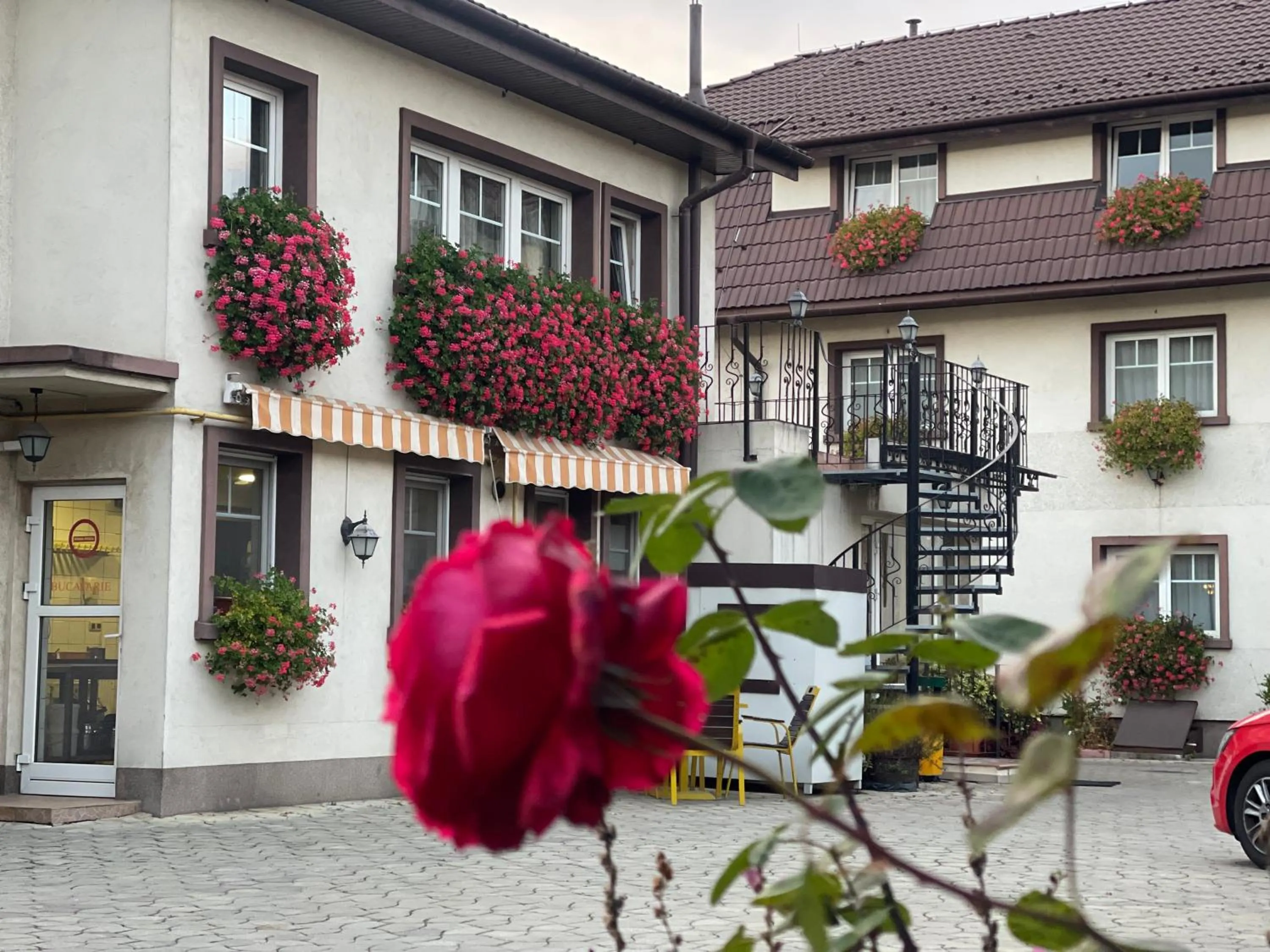 Property building in Pensiunea Luiza