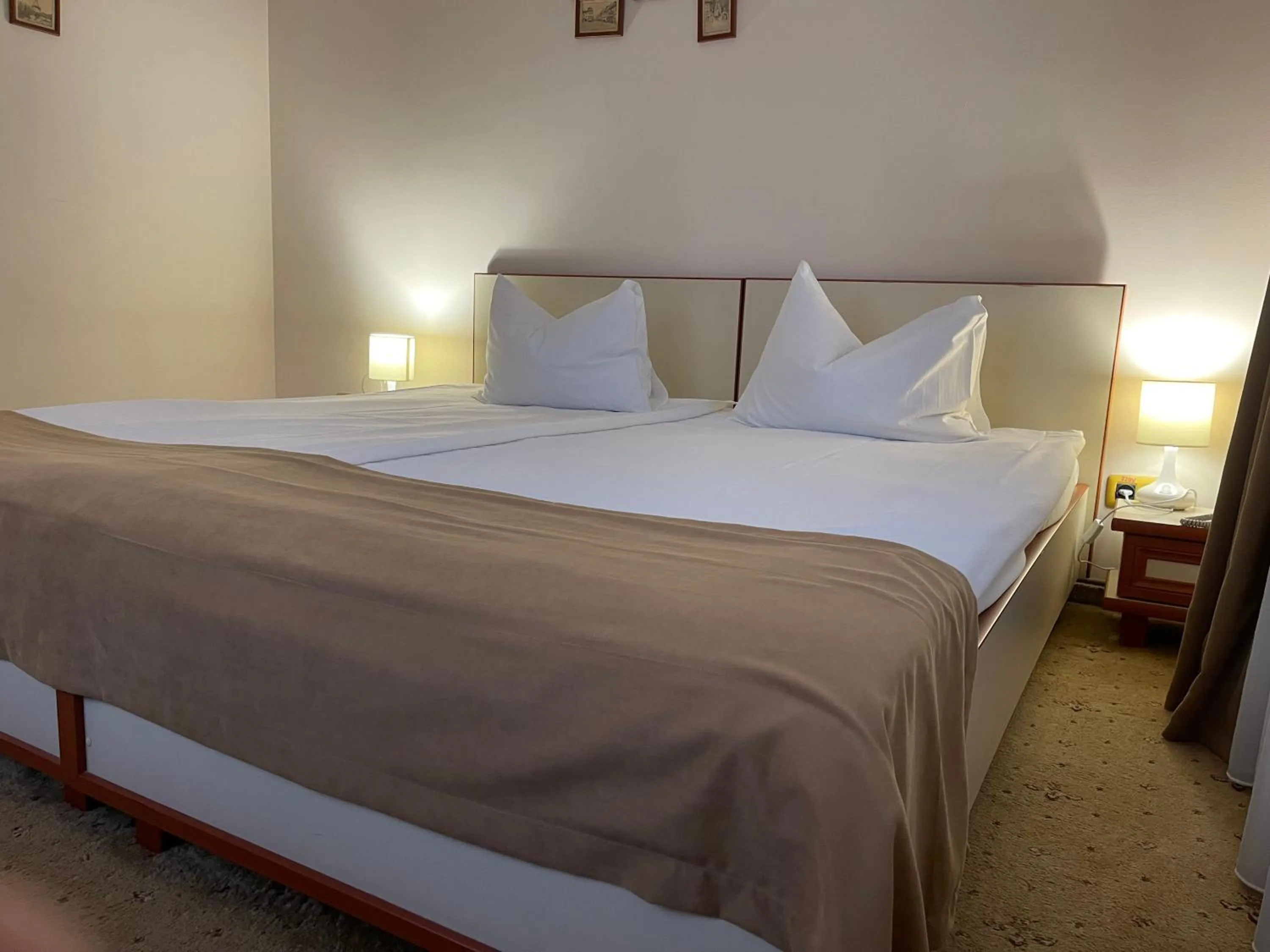 Bed in Pensiunea Luiza