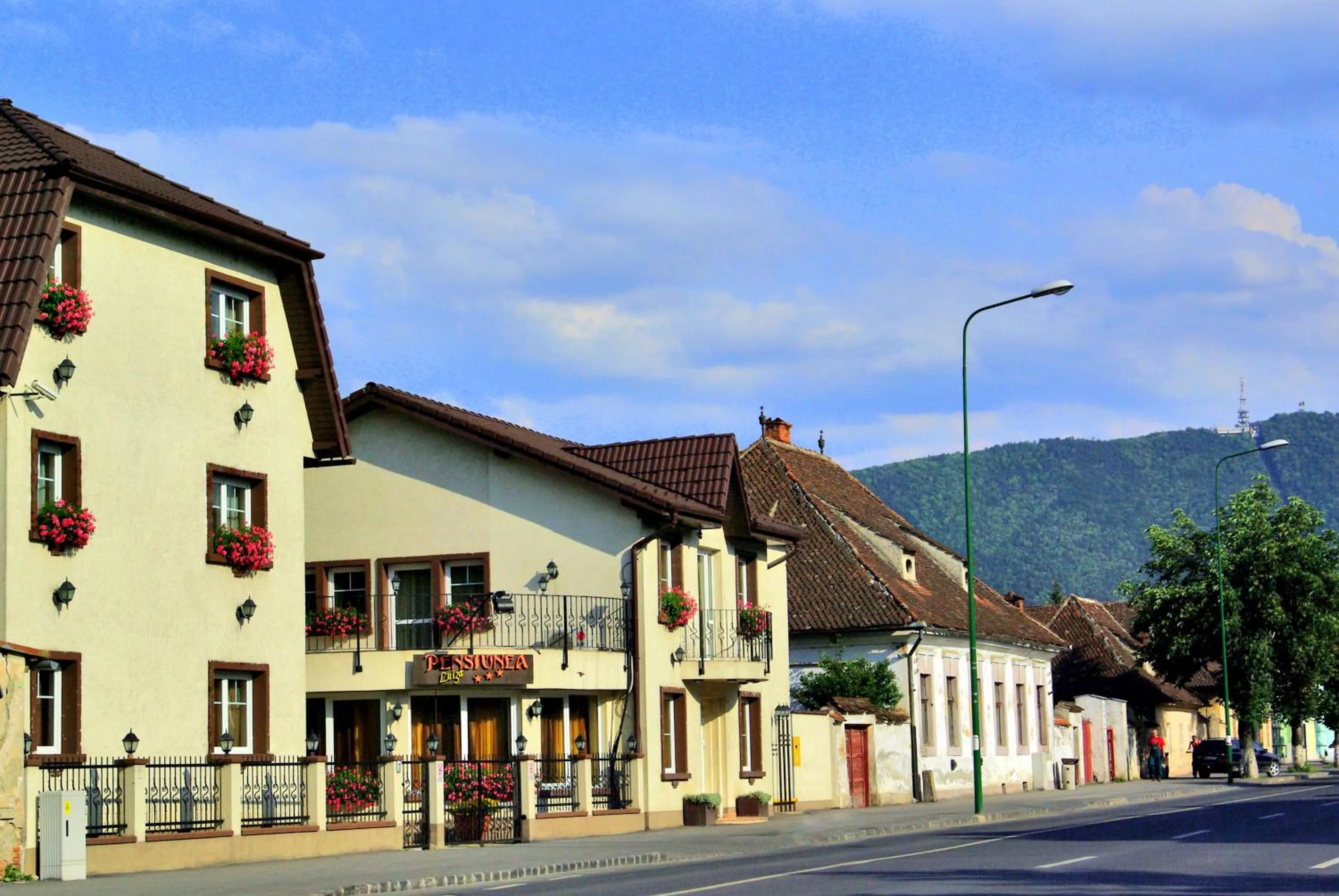 Property building in Pensiunea Luiza