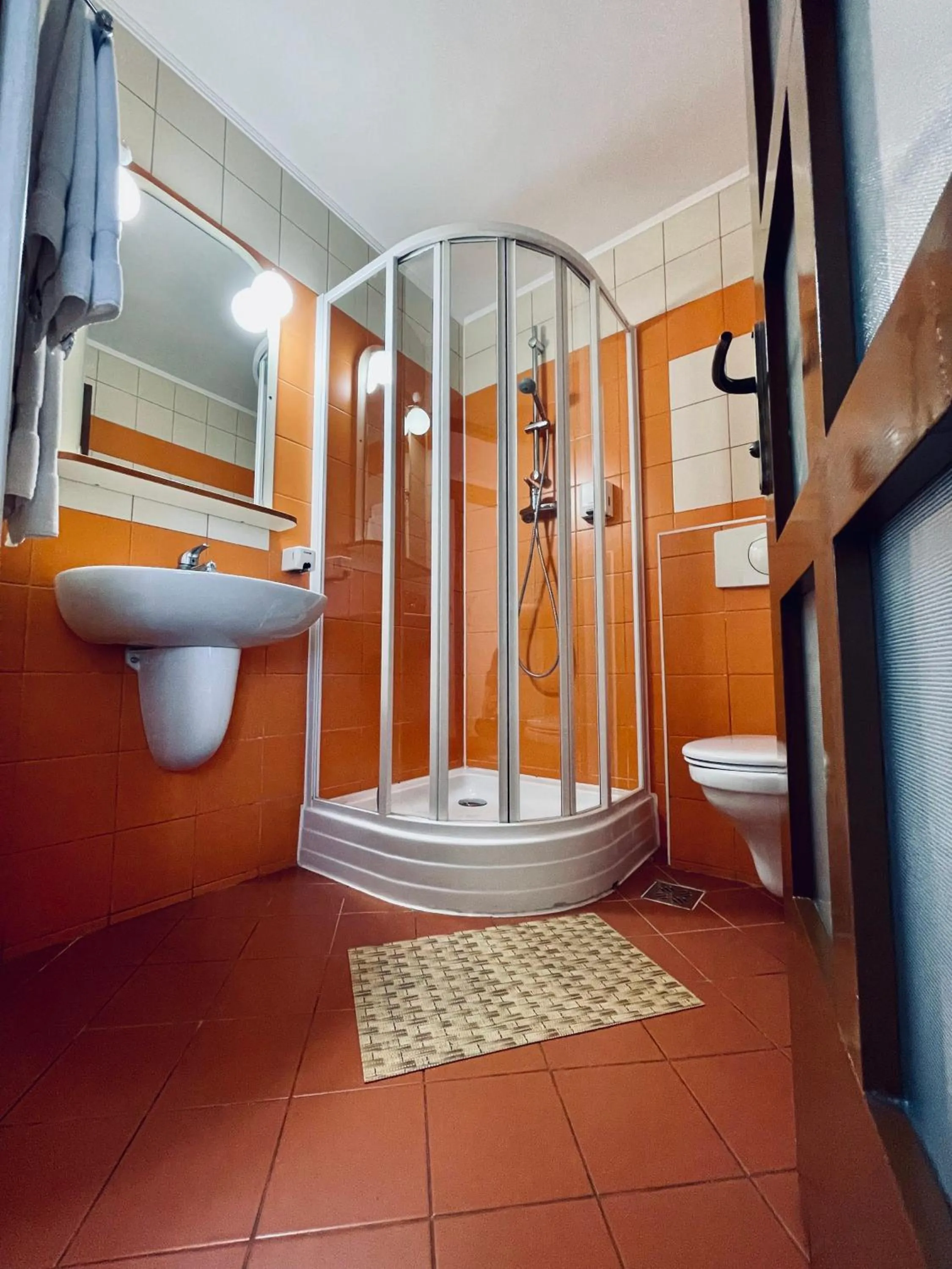 Shower in Pensiunea Luiza