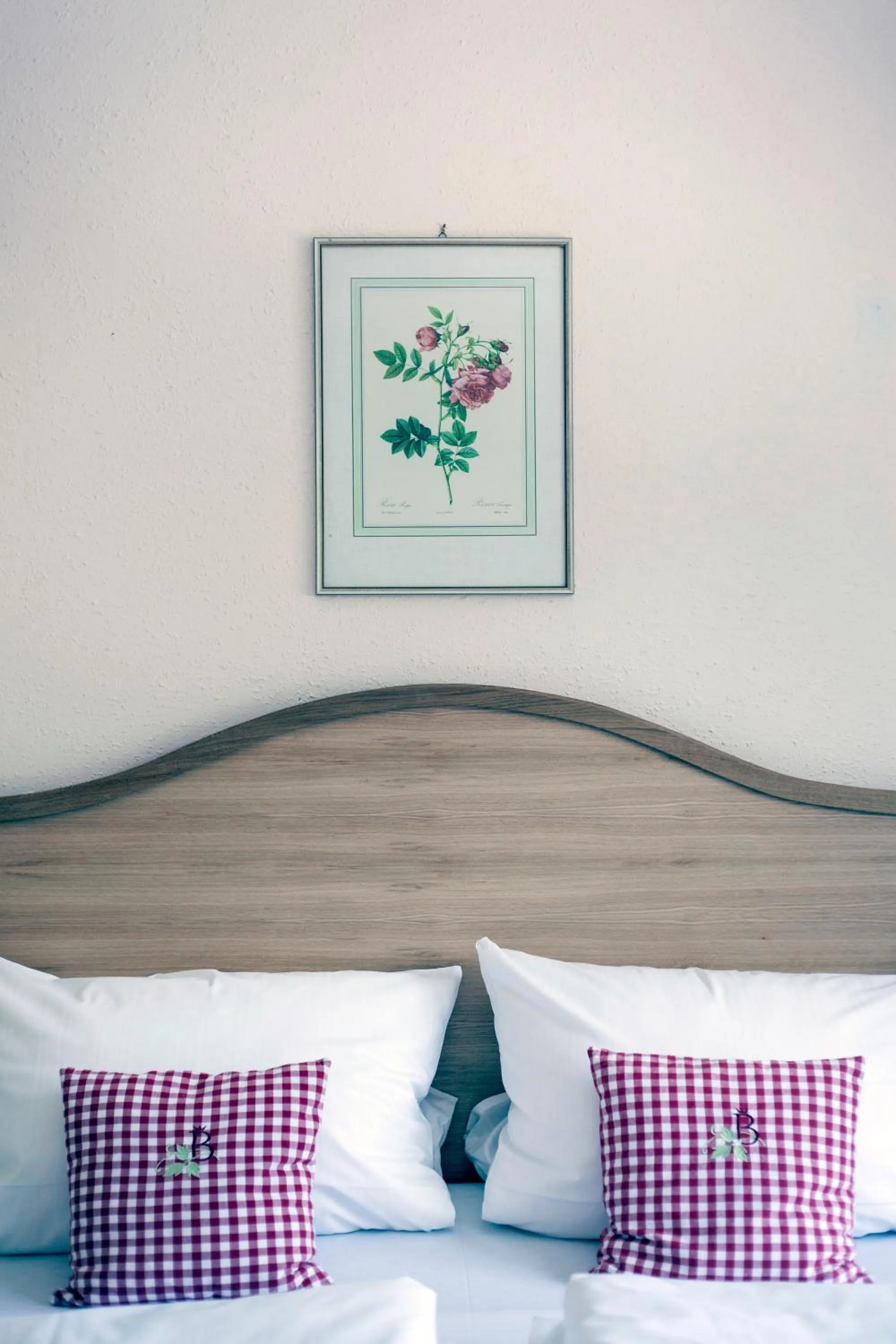 Hotel Bachmair Alpina