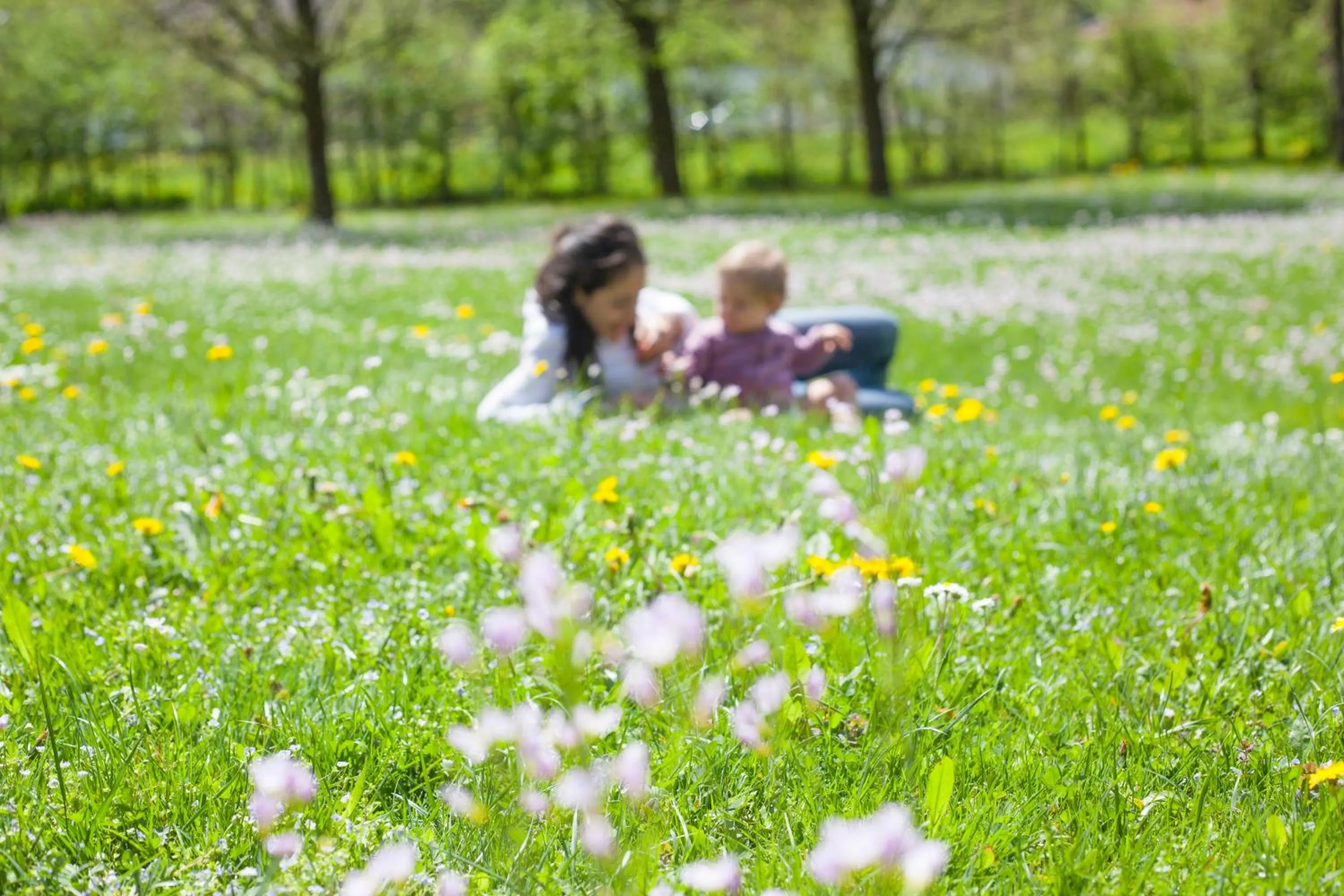 Hotel Bachmair Alpina