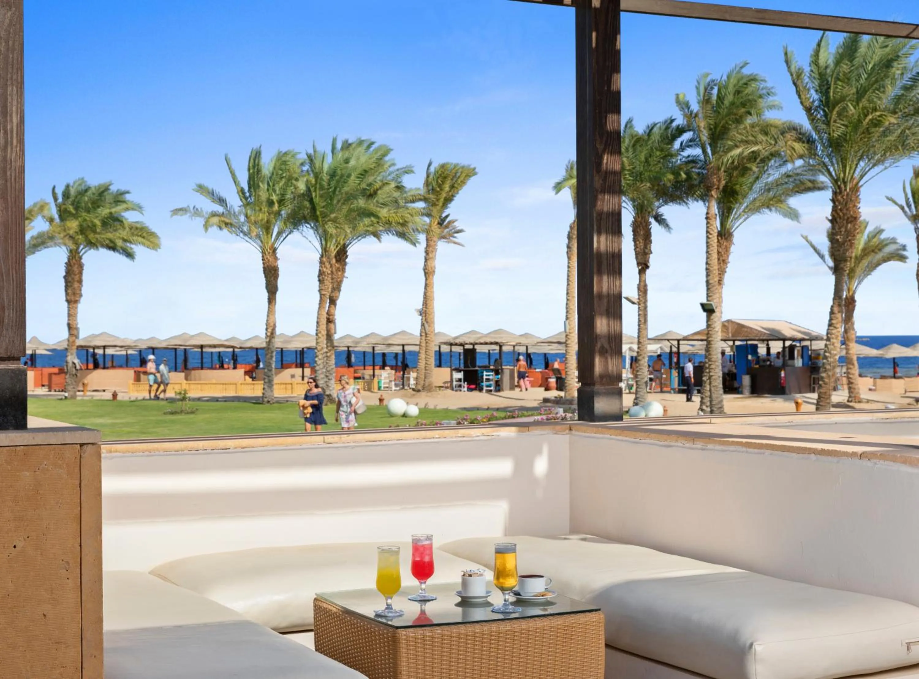 Day in Pickalbatros The Palace Port Ghalib